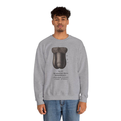 Anatomie Sweatshirt – Fig. 87: Die männlichen äußeren Geschlechtsorgane | Bildungswitz & Stil - True Insights