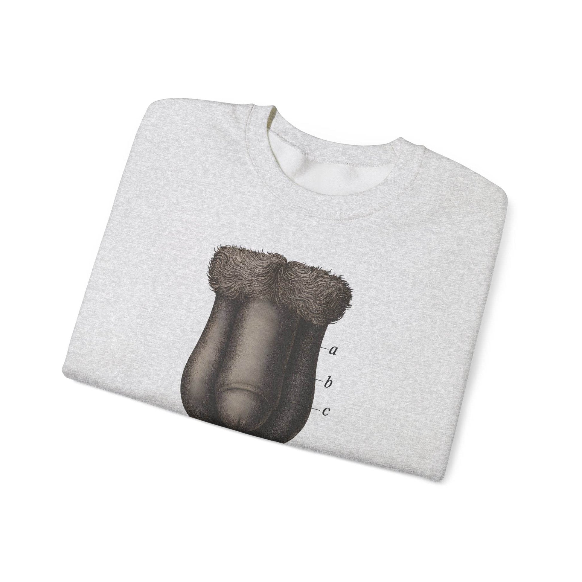 Anatomie Sweatshirt – Fig. 87: Die männlichen äußeren Geschlechtsorgane | Bildungswitz & Stil - True Insights