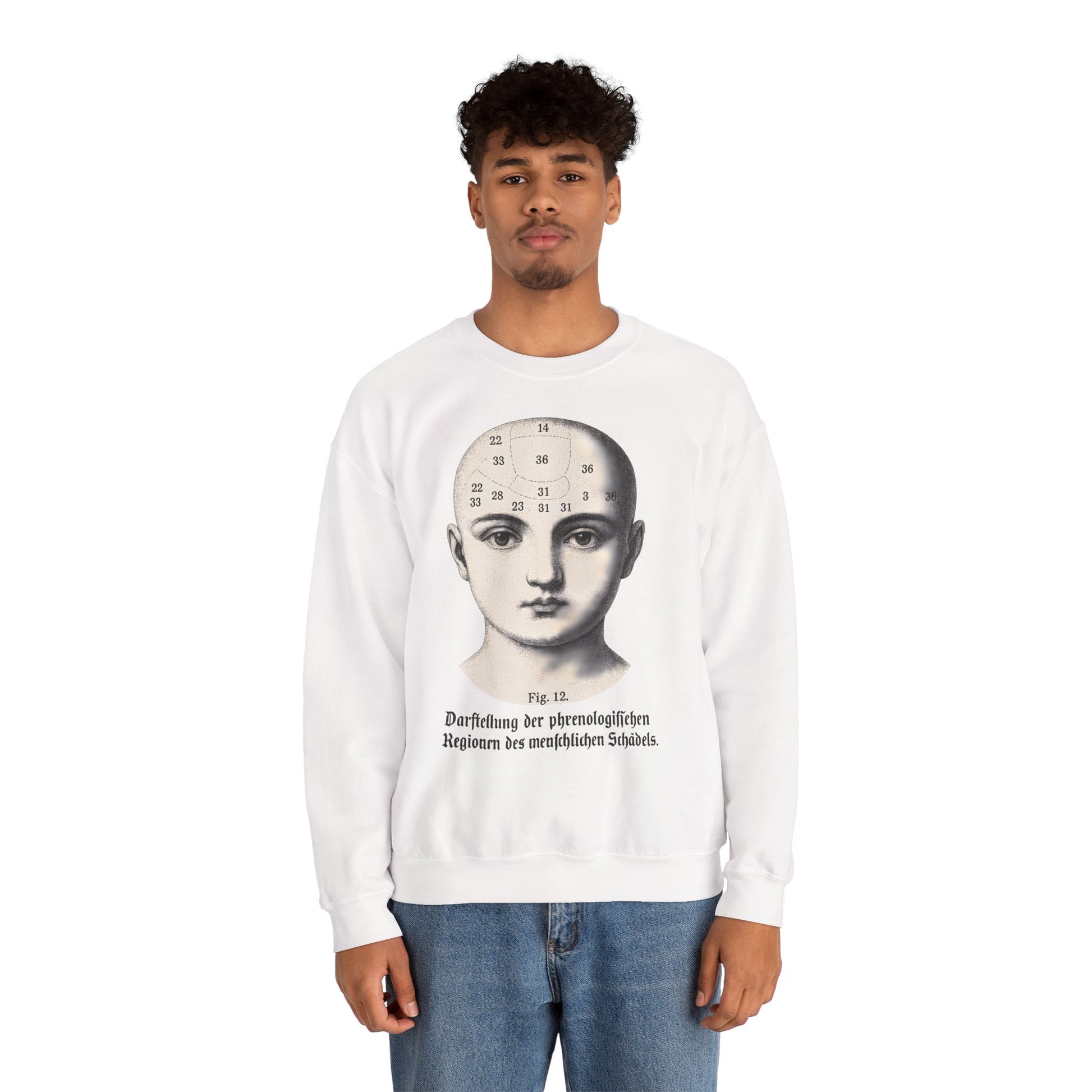 Vintage Motiv – Phrenologie Sweatshirt – Vintage-Schädelstudie „Fig. 12“ | True Insights Design mit Humor