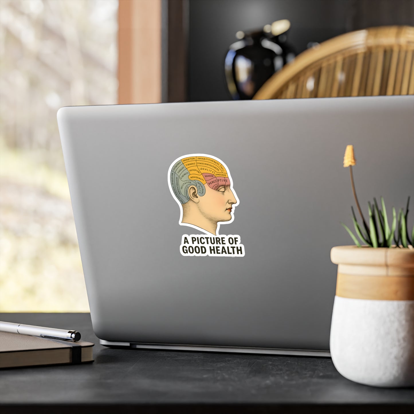 Phrenologie Kopf Sticker Vintage Anatomie A Picture of Good Health