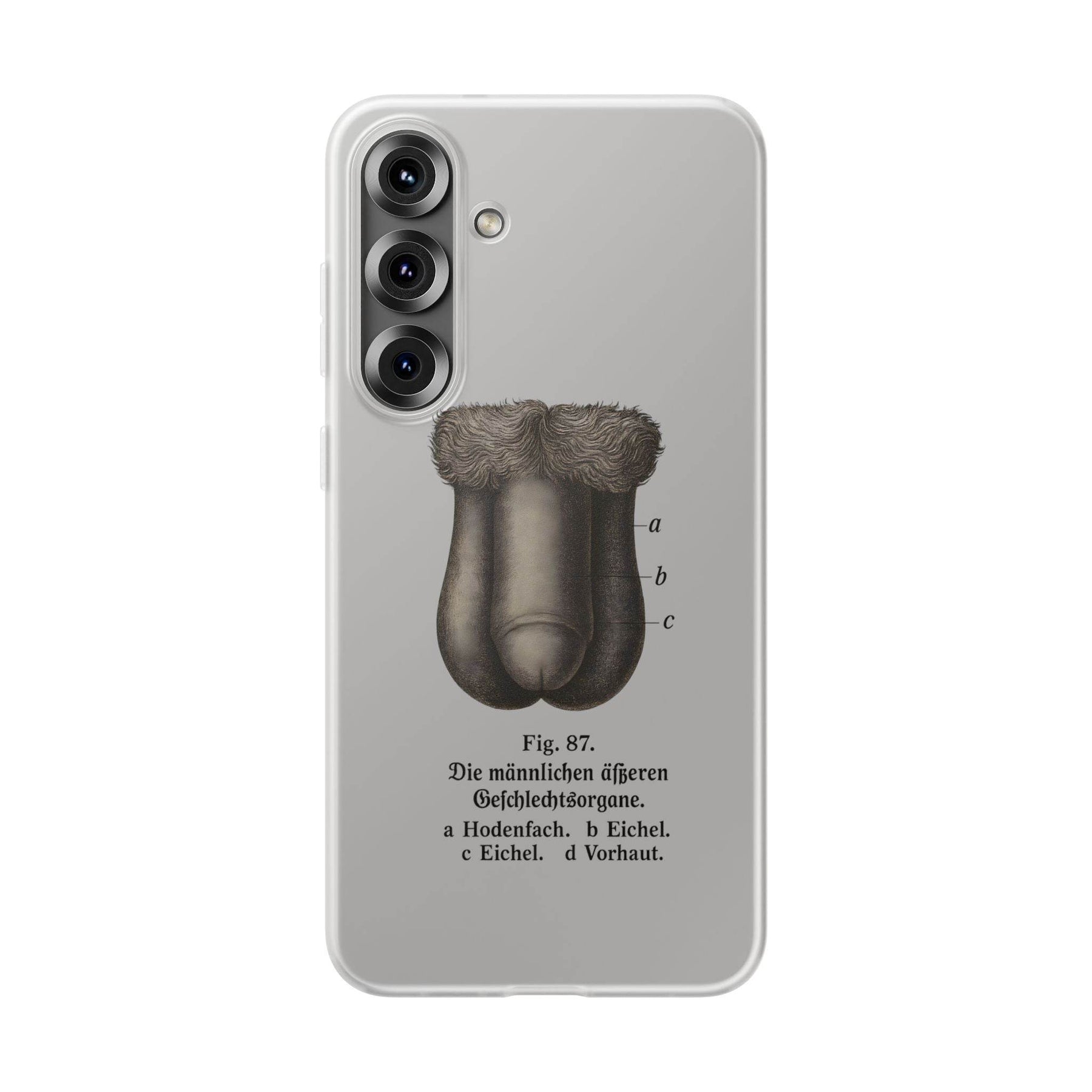 Anatomie Handyhülle – Fig. 87: Männliche Geschlechtsorgane | Aufklärung trifft Design - True Insights