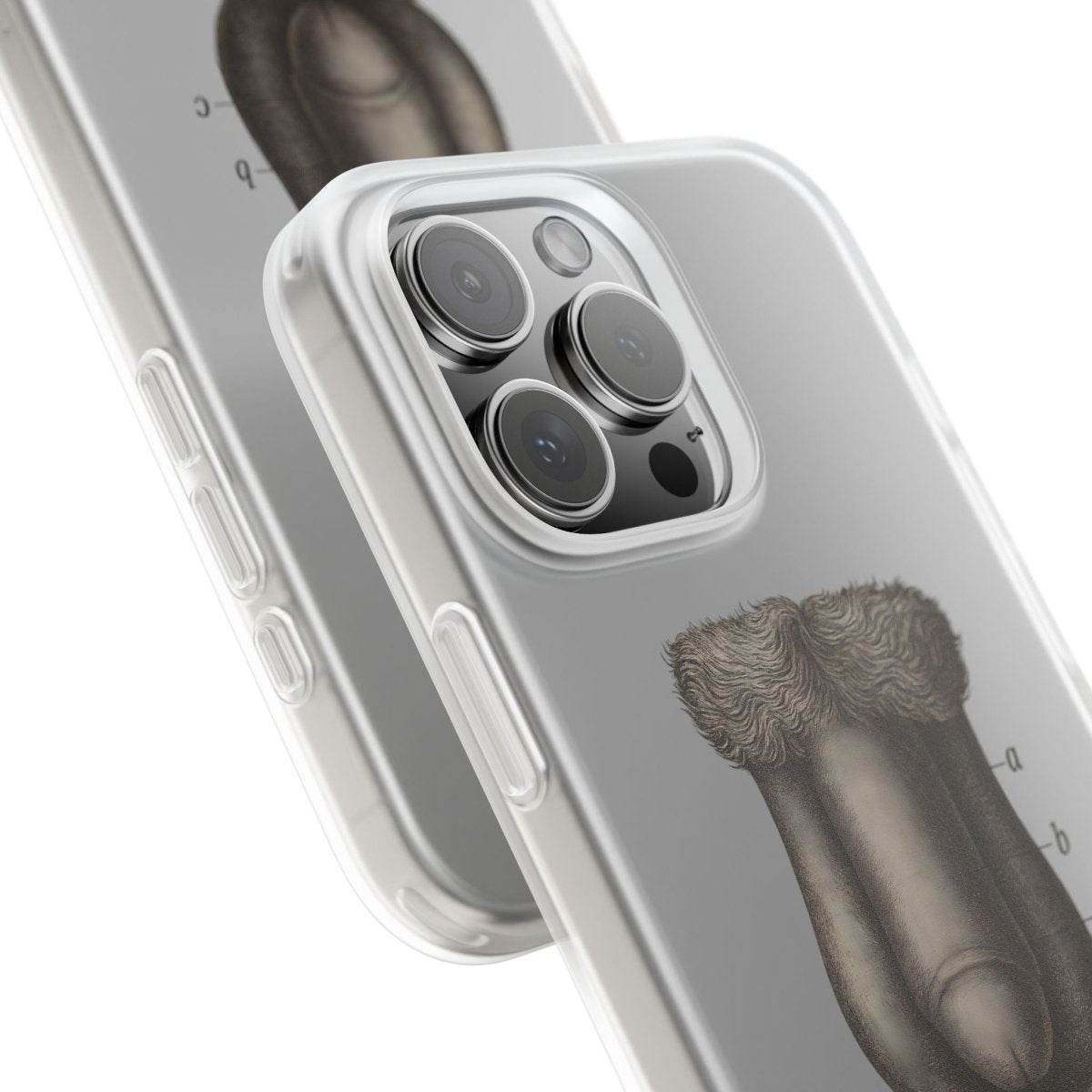 Anatomie Handyhülle – Fig. 87: Männliche Geschlechtsorgane | Aufklärung trifft Design - True Insights