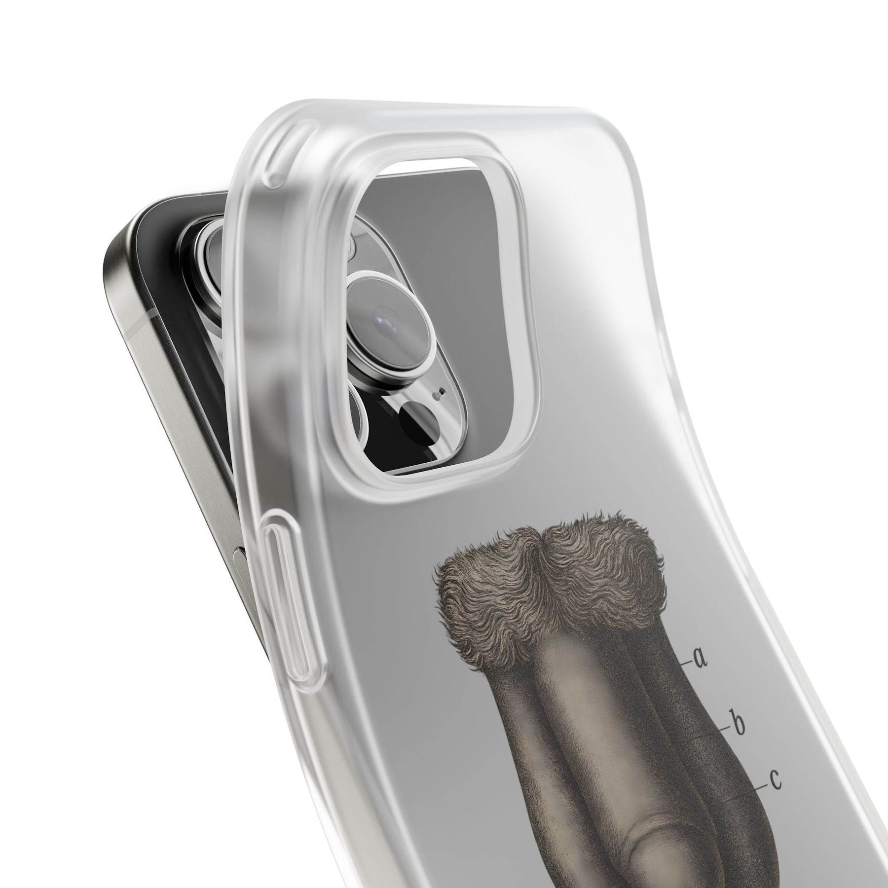 Anatomie Handyhülle – Fig. 87: Männliche Geschlechtsorgane | Aufklärung trifft Design - True Insights