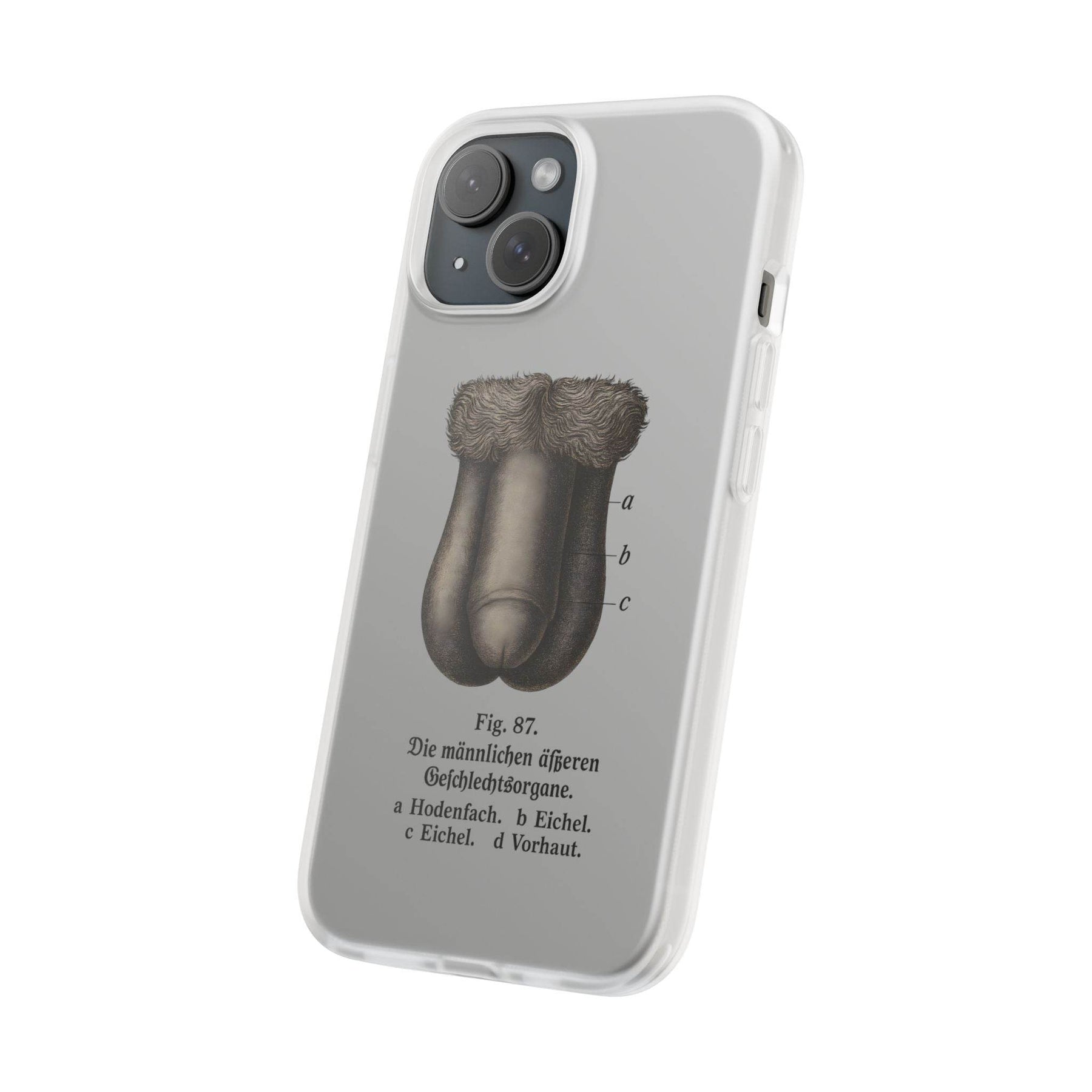 Anatomie Handyhülle – Fig. 87: Männliche Geschlechtsorgane | Aufklärung trifft Design - True Insights