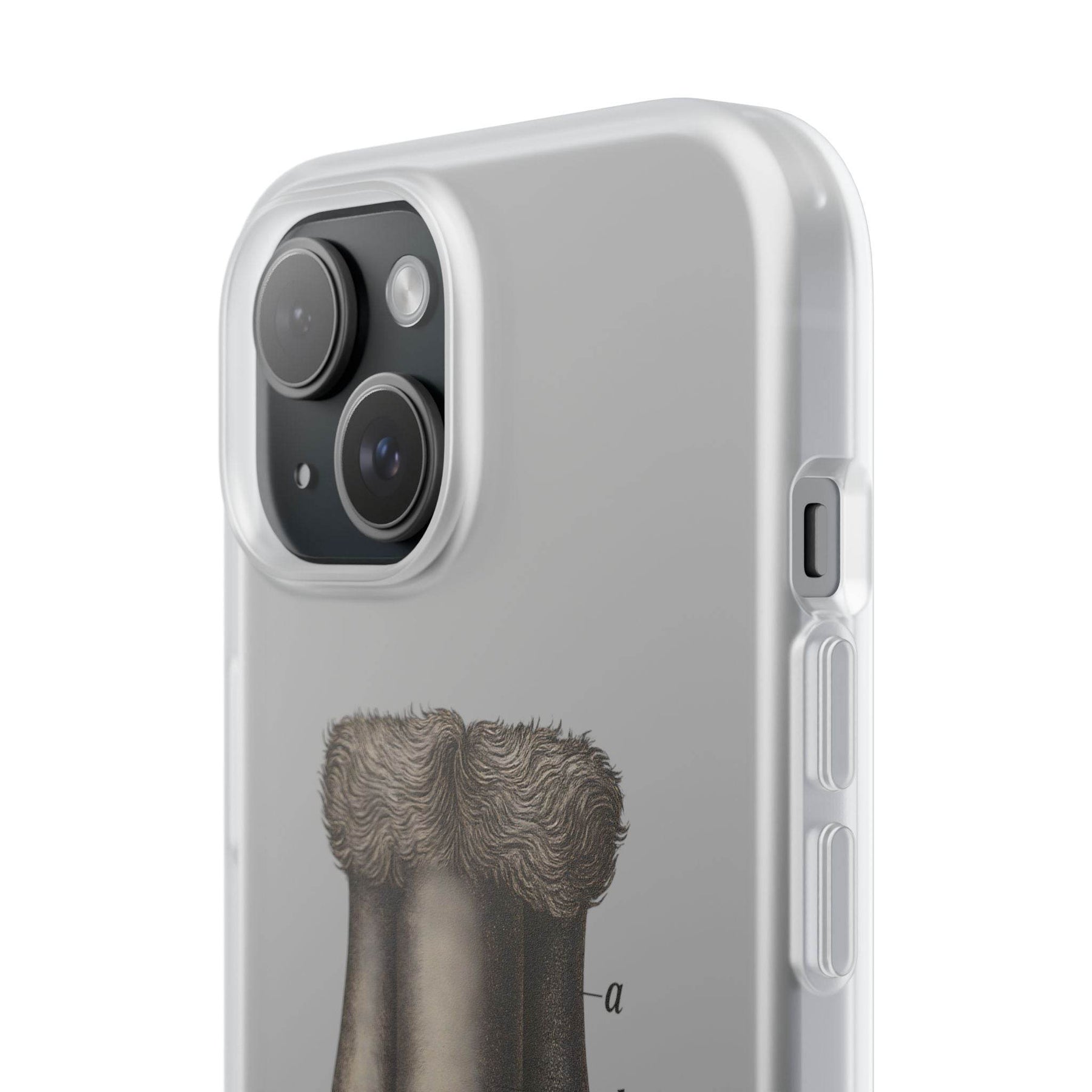 Anatomie Handyhülle – Fig. 87: Männliche Geschlechtsorgane | Aufklärung trifft Design - True Insights