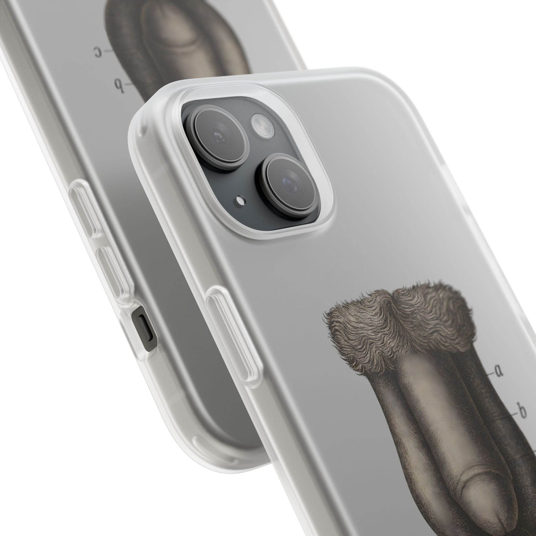 Anatomie Handyhülle – Fig. 87: Männliche Geschlechtsorgane | Aufklärung trifft Design - True Insights