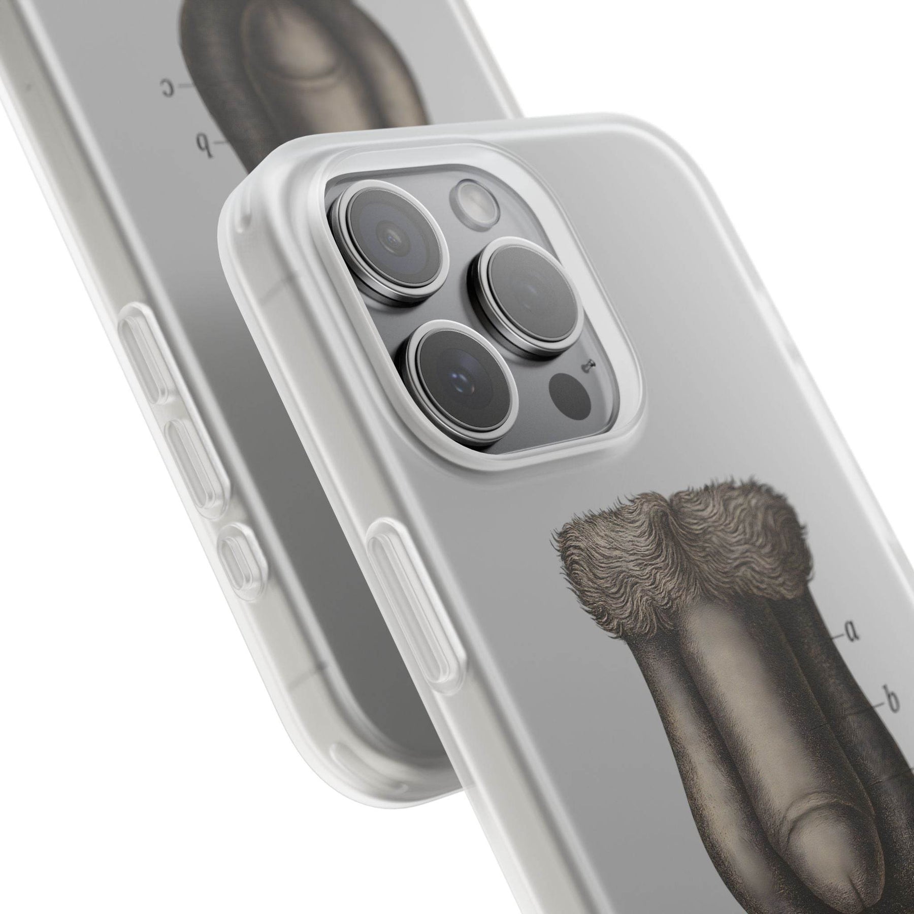 Anatomie Handyhülle – Fig. 87: Männliche Geschlechtsorgane | Aufklärung trifft Design - True Insights