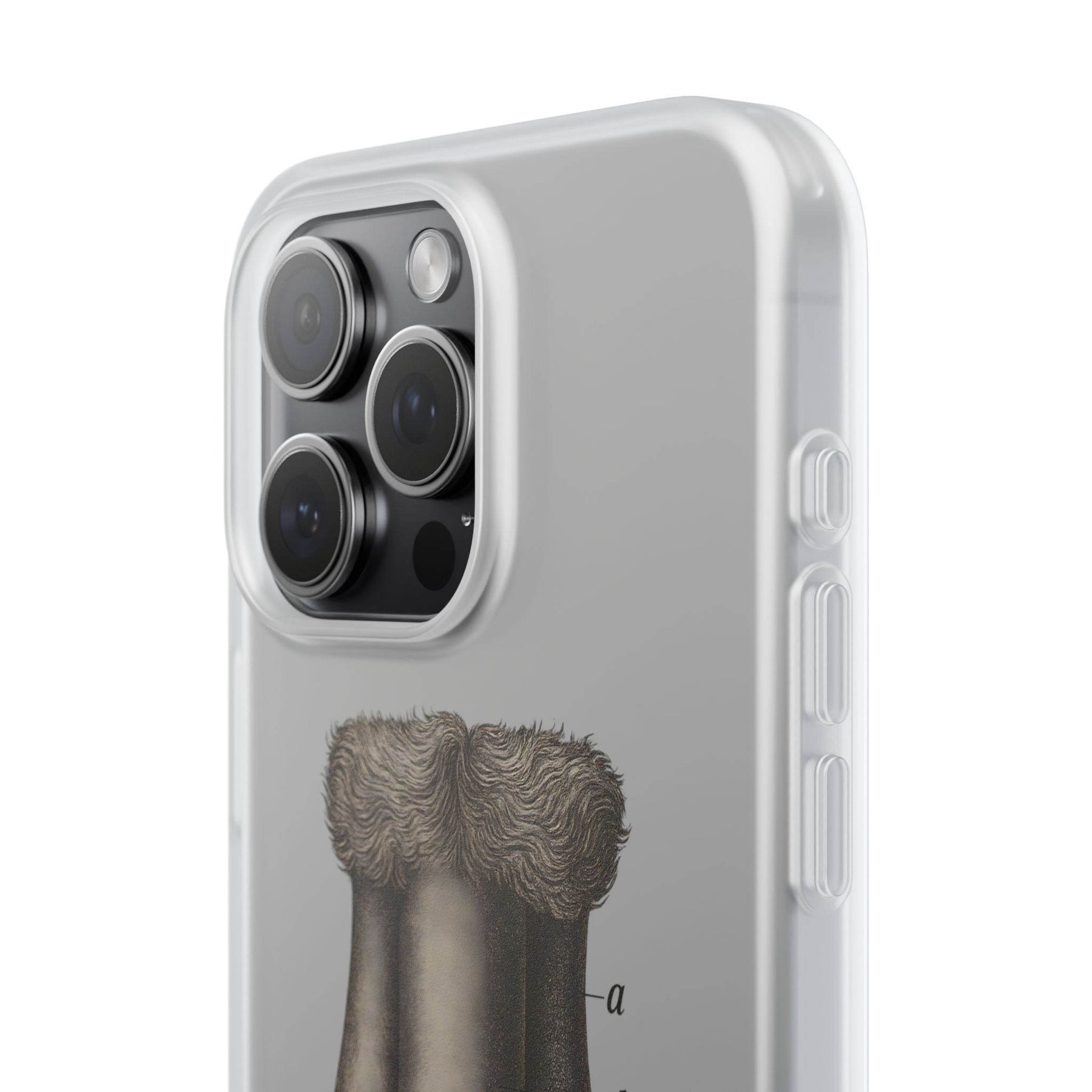 Anatomie Handyhülle – Fig. 87: Männliche Geschlechtsorgane | Aufklärung trifft Design - True Insights