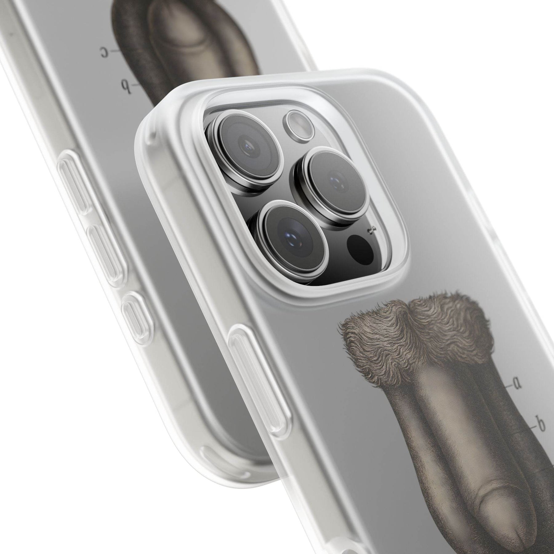 Anatomie Handyhülle – Fig. 87: Männliche Geschlechtsorgane | Aufklärung trifft Design - True Insights