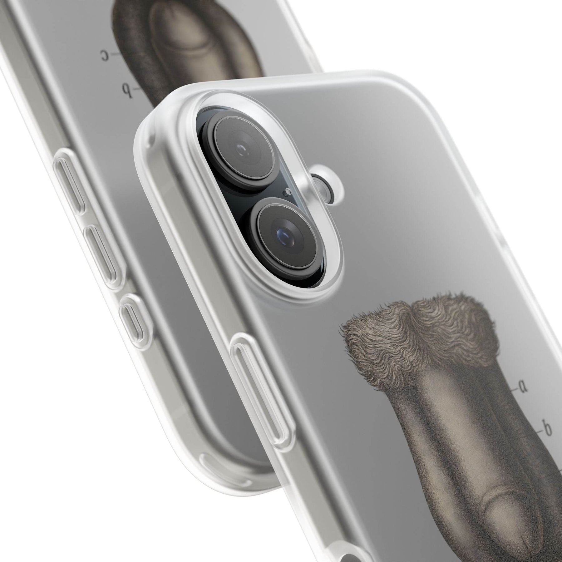 Anatomie Handyhülle – Fig. 87: Männliche Geschlechtsorgane | Aufklärung trifft Design - True Insights