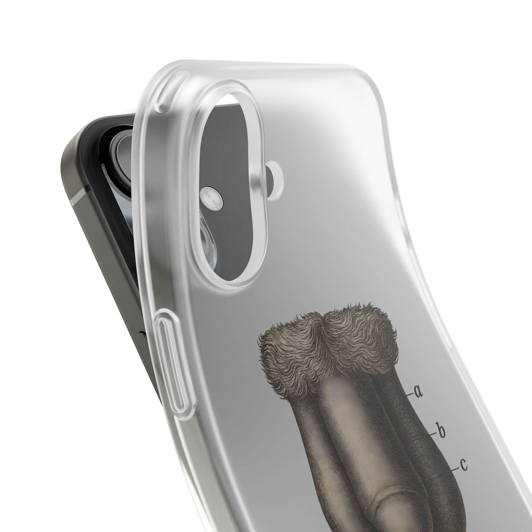 Anatomie Handyhülle – Fig. 87: Männliche Geschlechtsorgane | Aufklärung trifft Design - True Insights