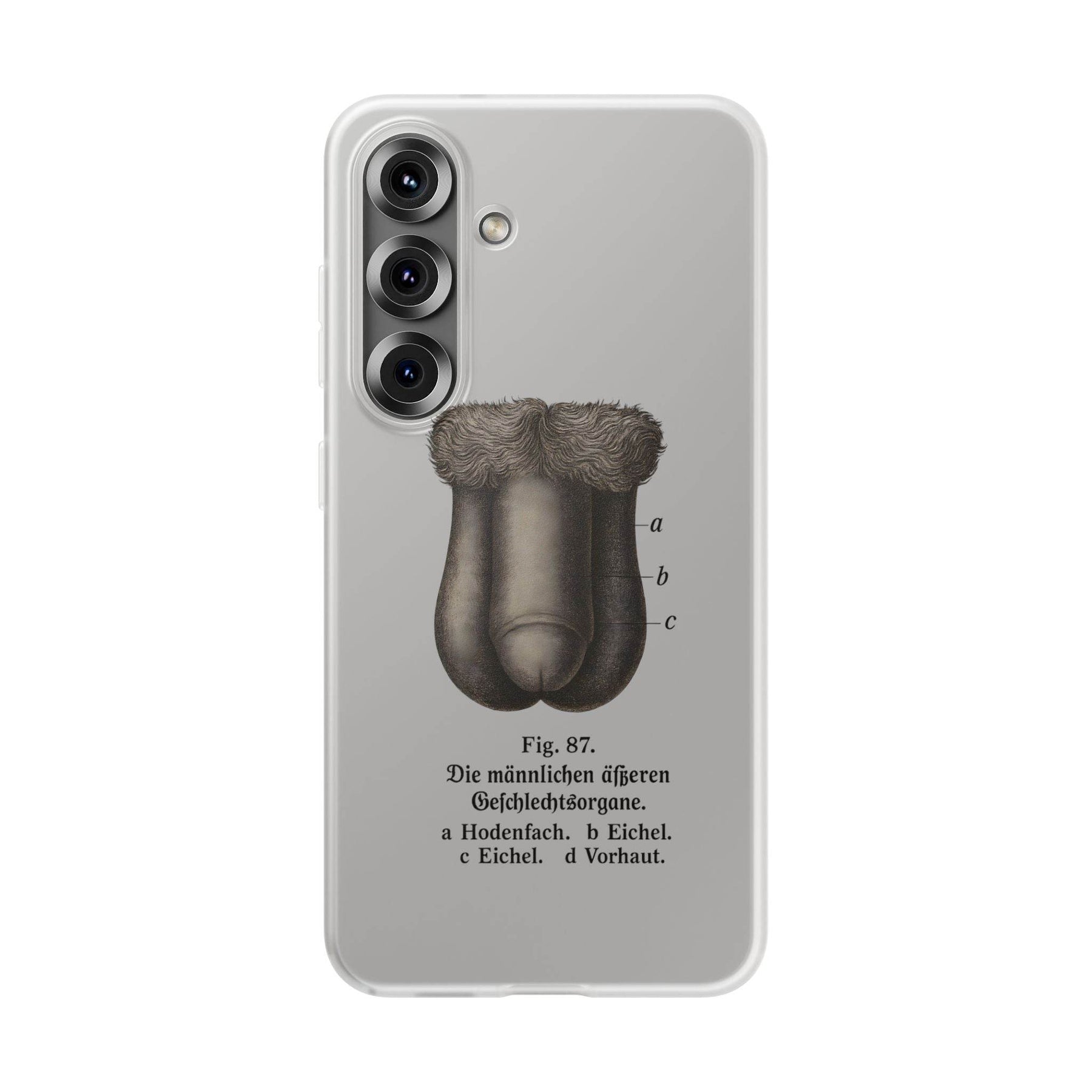 Anatomie Handyhülle – Fig. 87: Männliche Geschlechtsorgane | Aufklärung trifft Design - True Insights