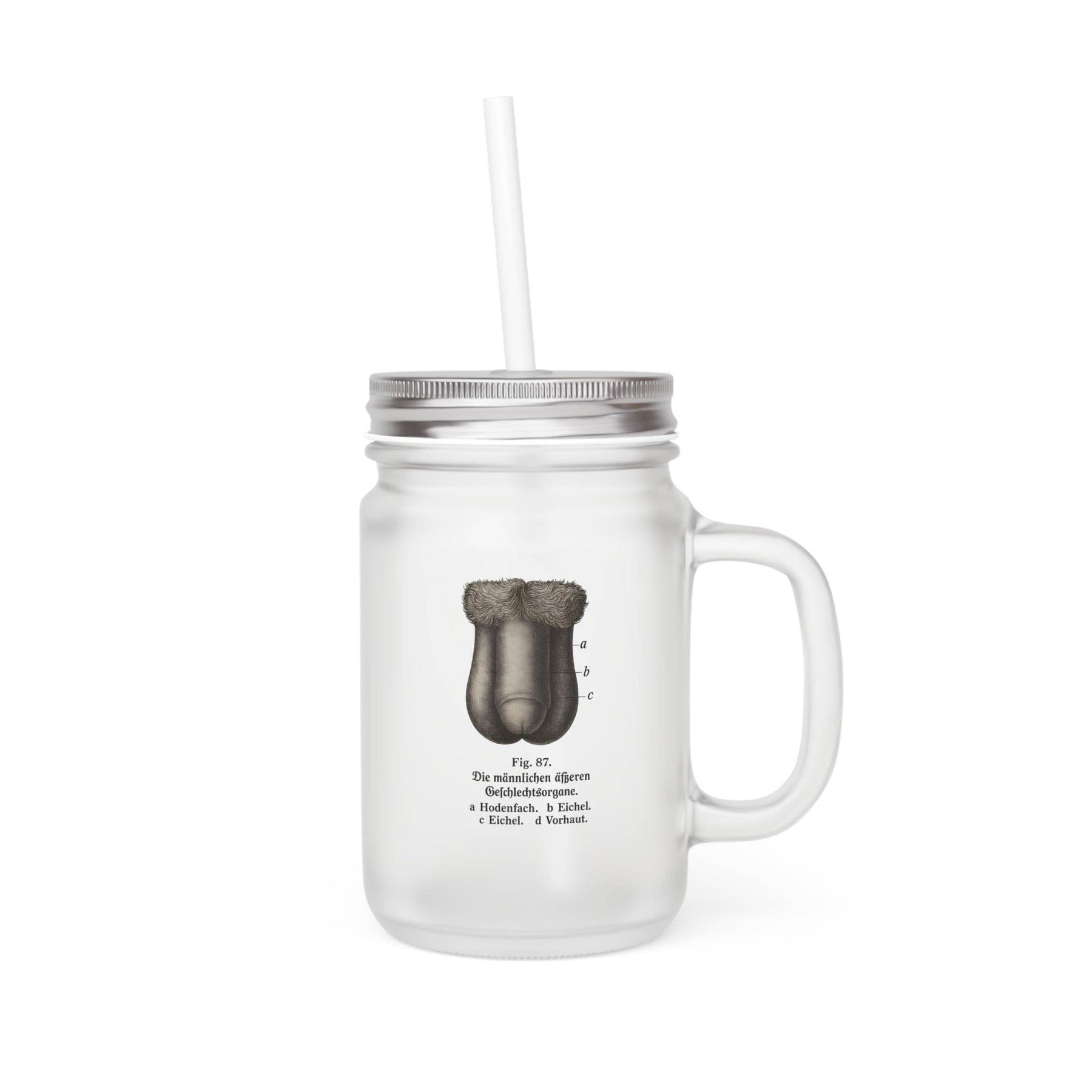 Anatomie Jar Mug – Fig. 87 mit Penis-Motiv | Trinkglas mit Humor - True Insights