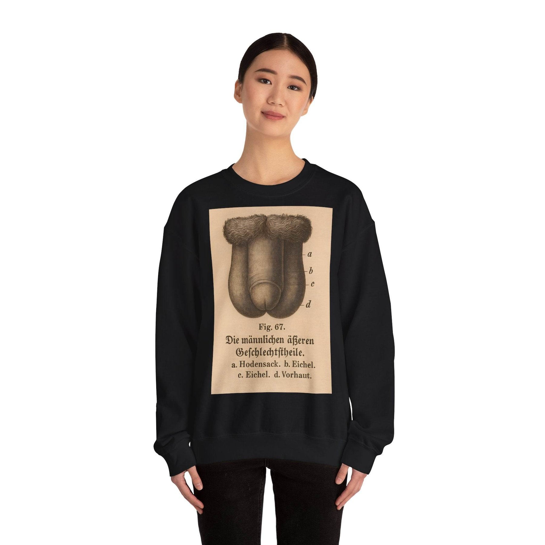 Anatomie Sweatshirt – Fig. 87: Die männlichen äußeren Geschlechtsorgane | Bildungswitz & Stil - True Insights