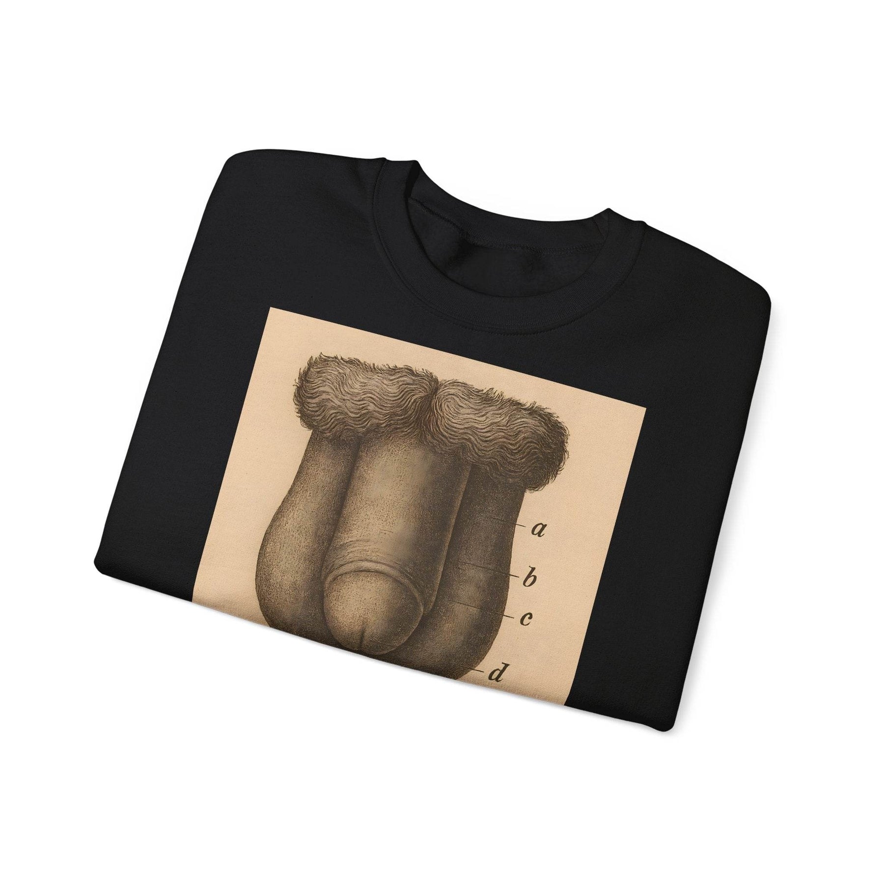 Anatomie Sweatshirt – Fig. 87: Die männlichen äußeren Geschlechtsorgane | Bildungswitz & Stil - True Insights