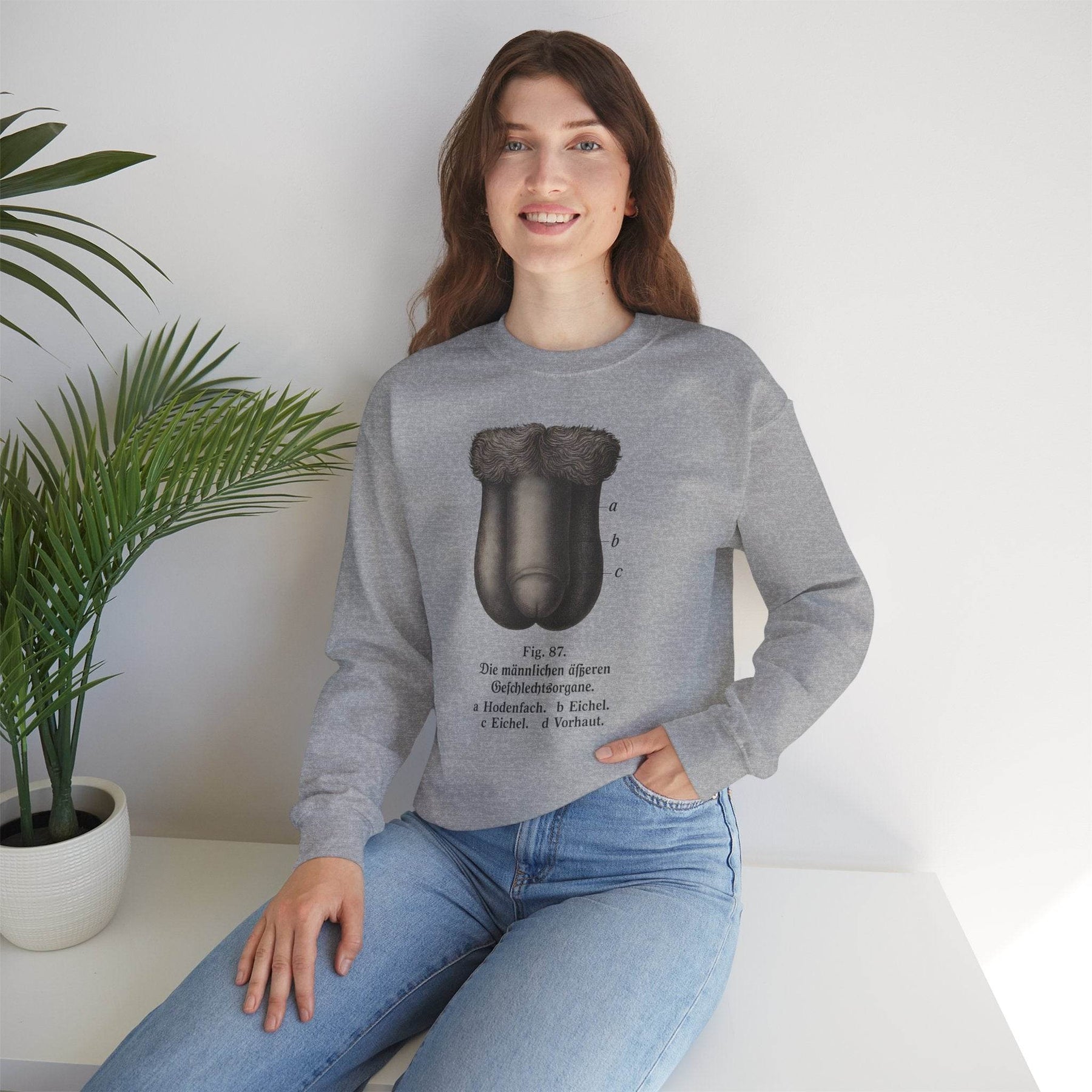 Anatomie Sweatshirt – Fig. 87: Die männlichen äußeren Geschlechtsorgane | Bildungswitz & Stil - True Insights