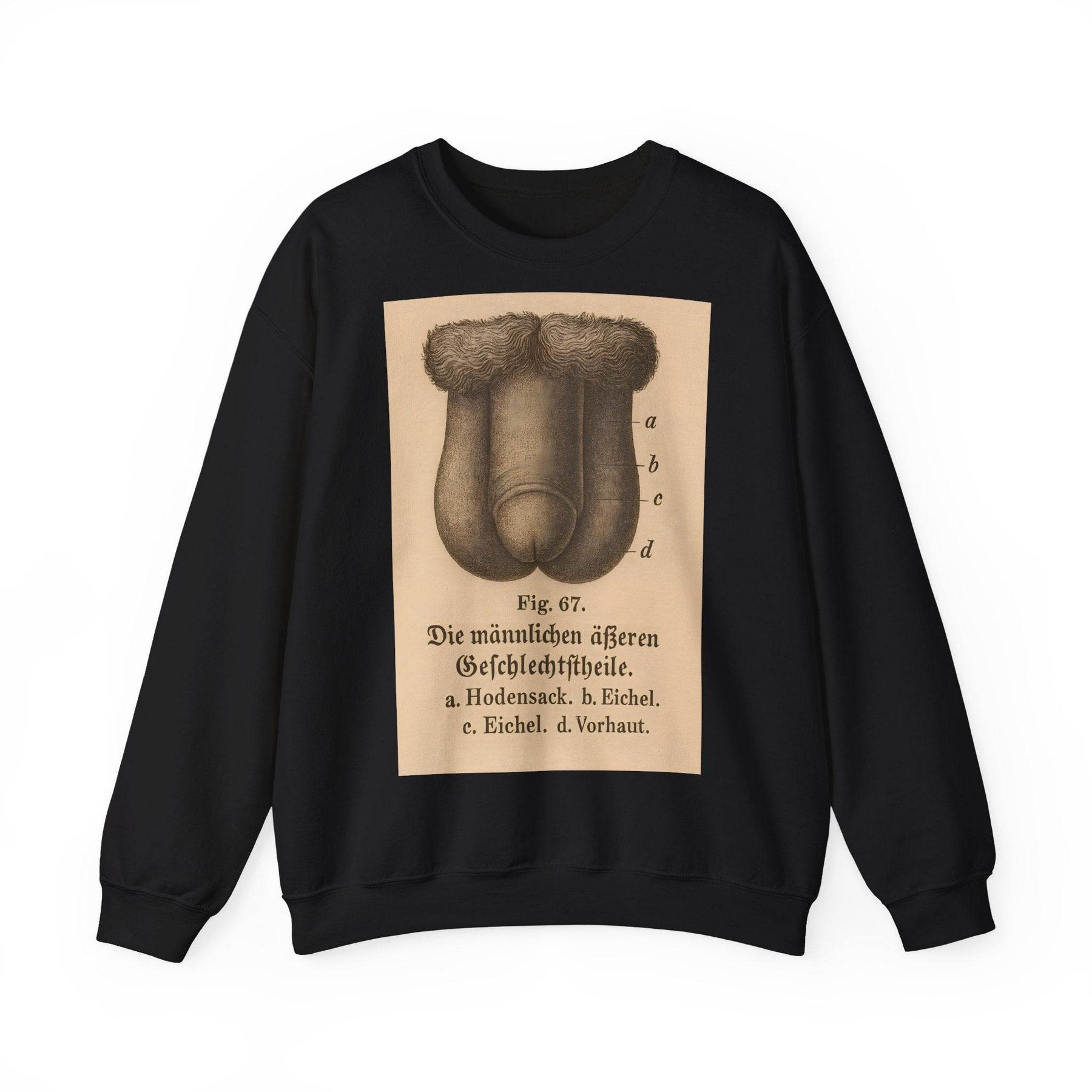 Anatomie Sweatshirt – Fig. 87: Die männlichen äußeren Geschlechtsorgane | Bildungswitz & Stil - True Insights
