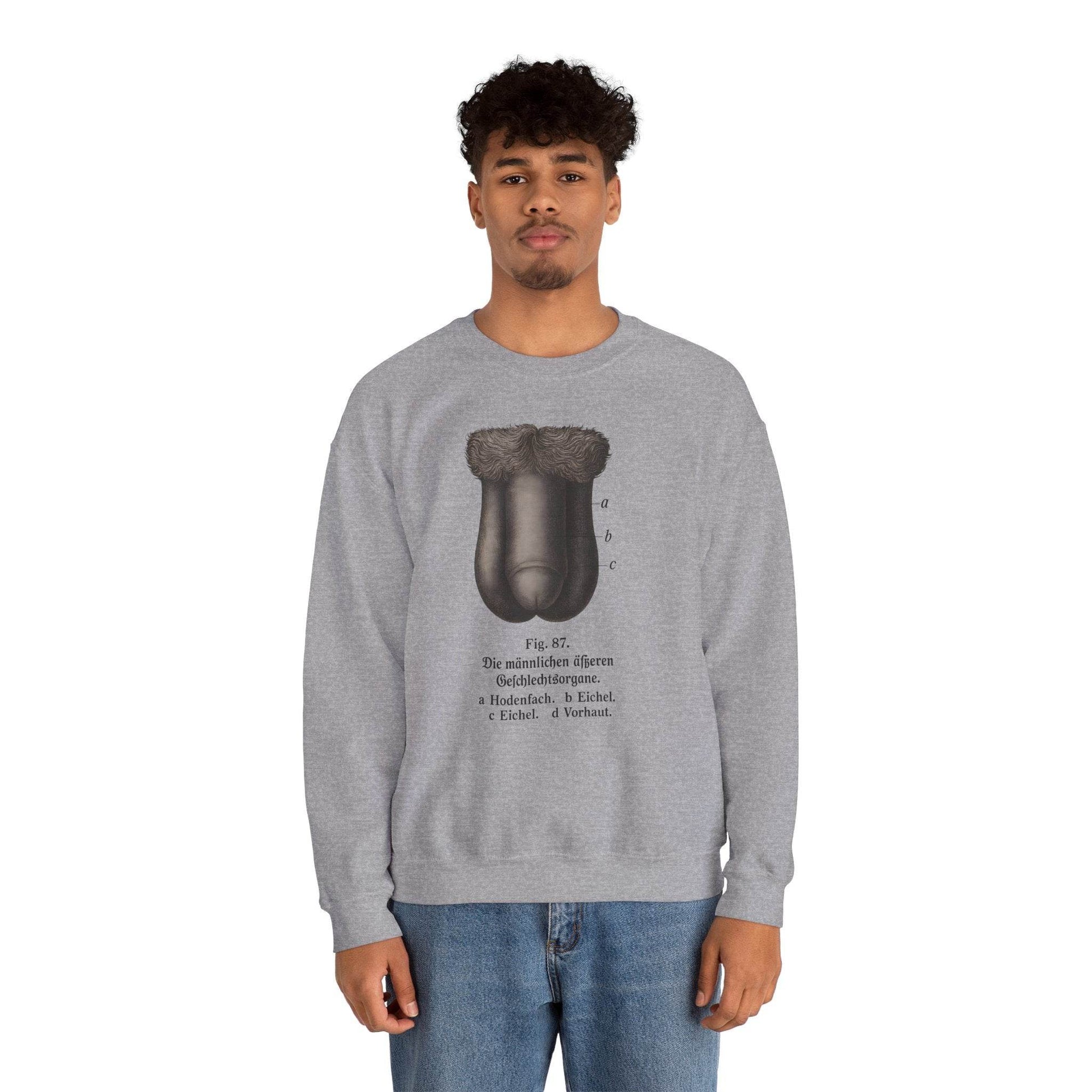 Anatomie Sweatshirt – Fig. 87: Die männlichen äußeren Geschlechtsorgane | Bildungswitz & Stil - True Insights