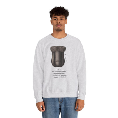 Anatomie Sweatshirt – Fig. 87: Die männlichen äußeren Geschlechtsorgane | Bildungswitz & Stil - True Insights