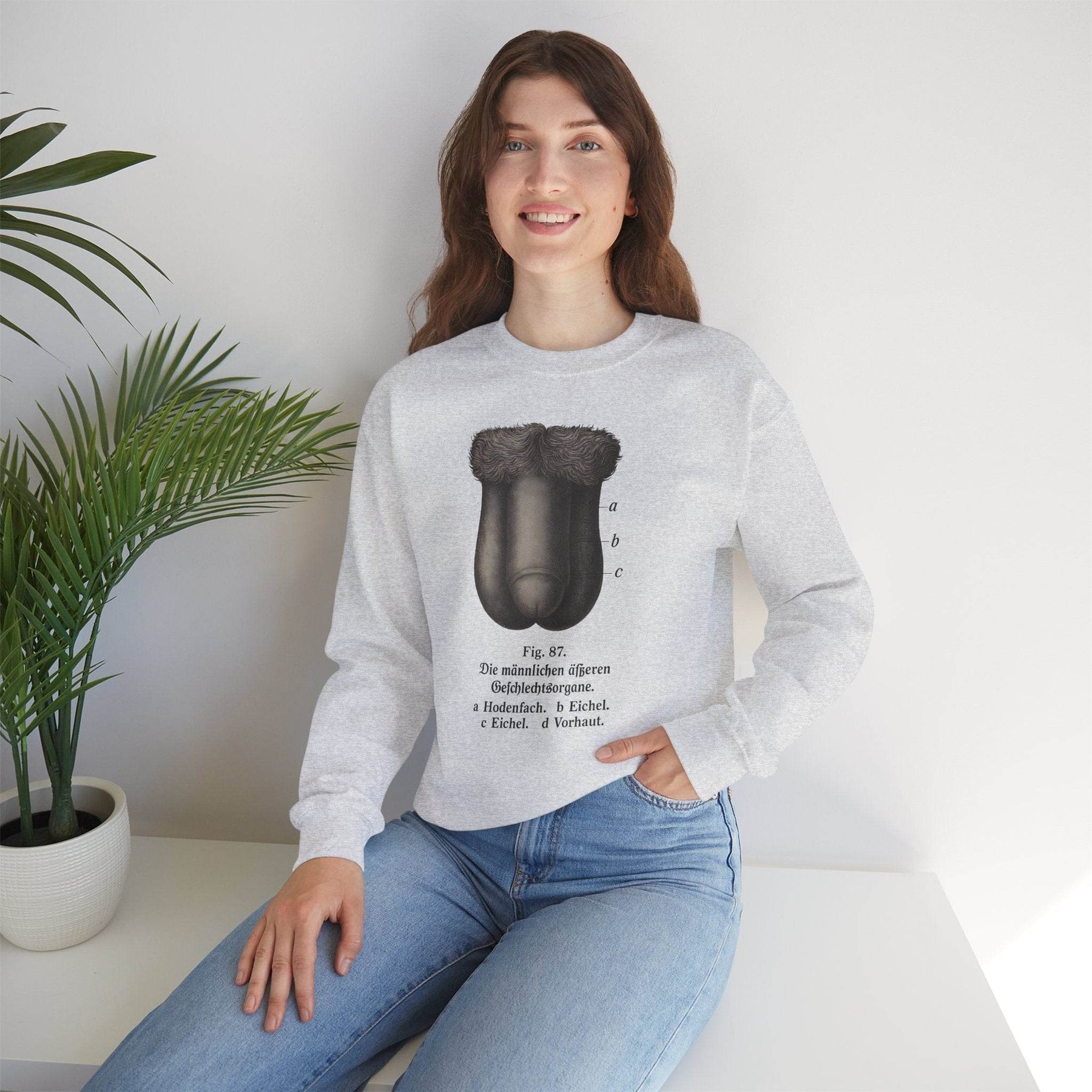 Anatomie Sweatshirt – Fig. 87: Die männlichen äußeren Geschlechtsorgane | Bildungswitz & Stil - True Insights