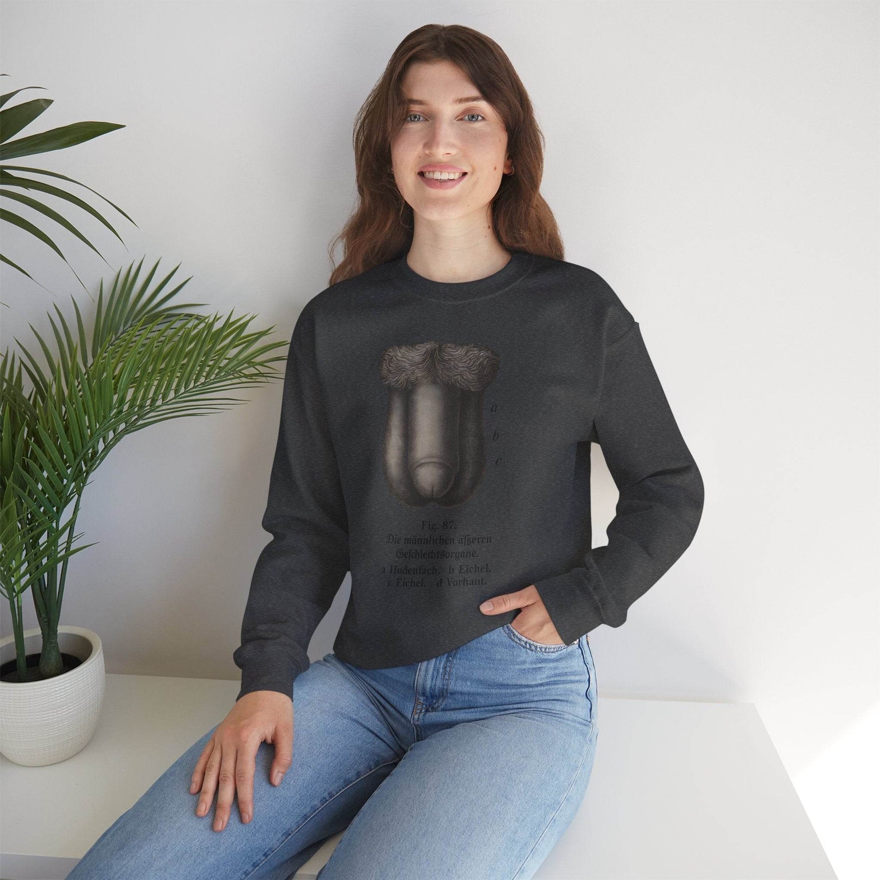 Anatomie Sweatshirt – Fig. 87: Die männlichen äußeren Geschlechtsorgane | Bildungswitz & Stil - True Insights