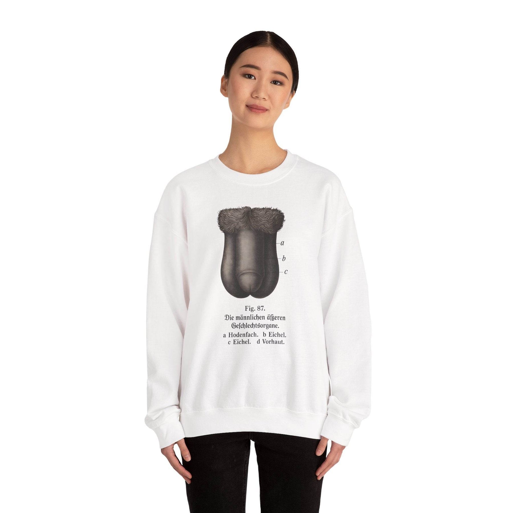 Anatomie Sweatshirt – Fig. 87: Die männlichen äußeren Geschlechtsorgane | Bildungswitz & Stil - True Insights