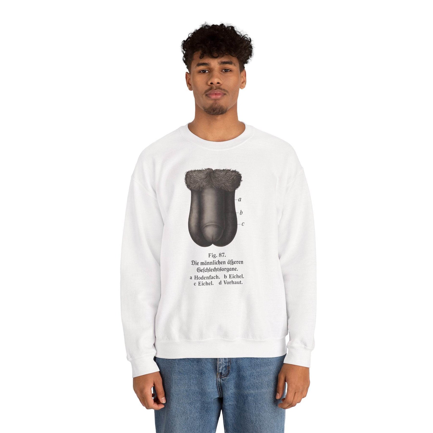 Anatomie Sweatshirt – Fig. 87: Die männlichen äußeren Geschlechtsorgane | Bildungswitz & Stil - True Insights