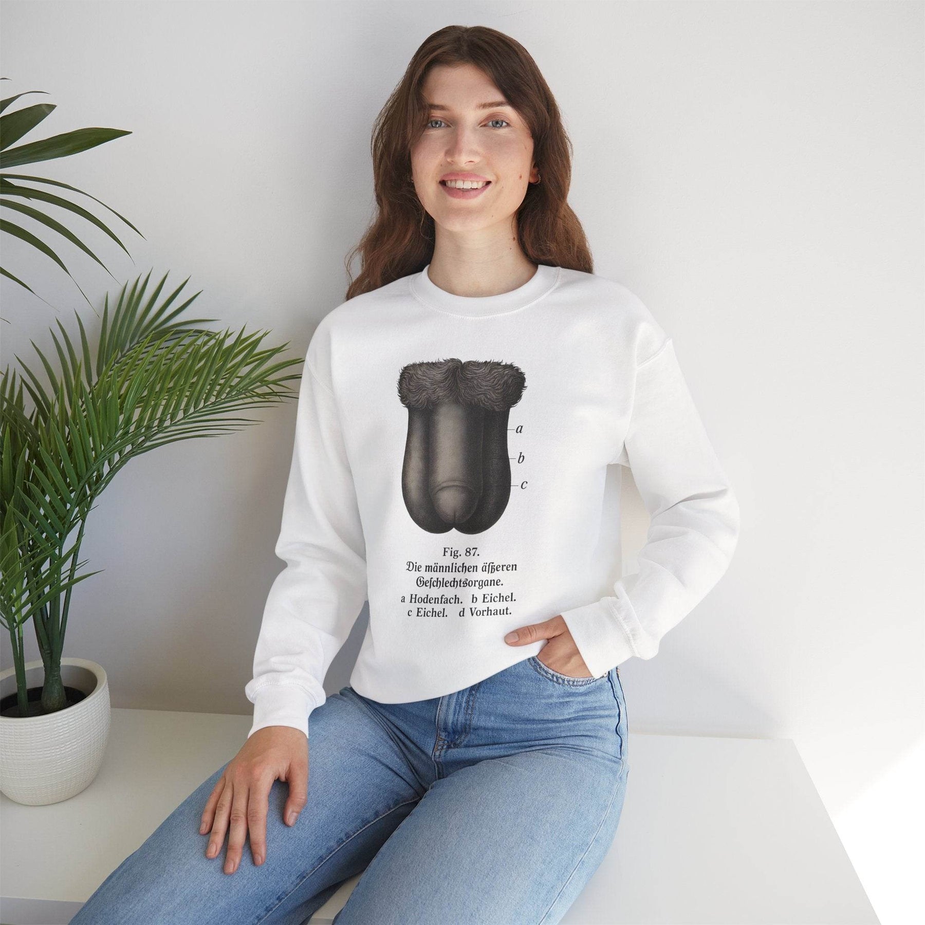 Anatomie Sweatshirt – Fig. 87: Die männlichen äußeren Geschlechtsorgane | Bildungswitz & Stil - True Insights
