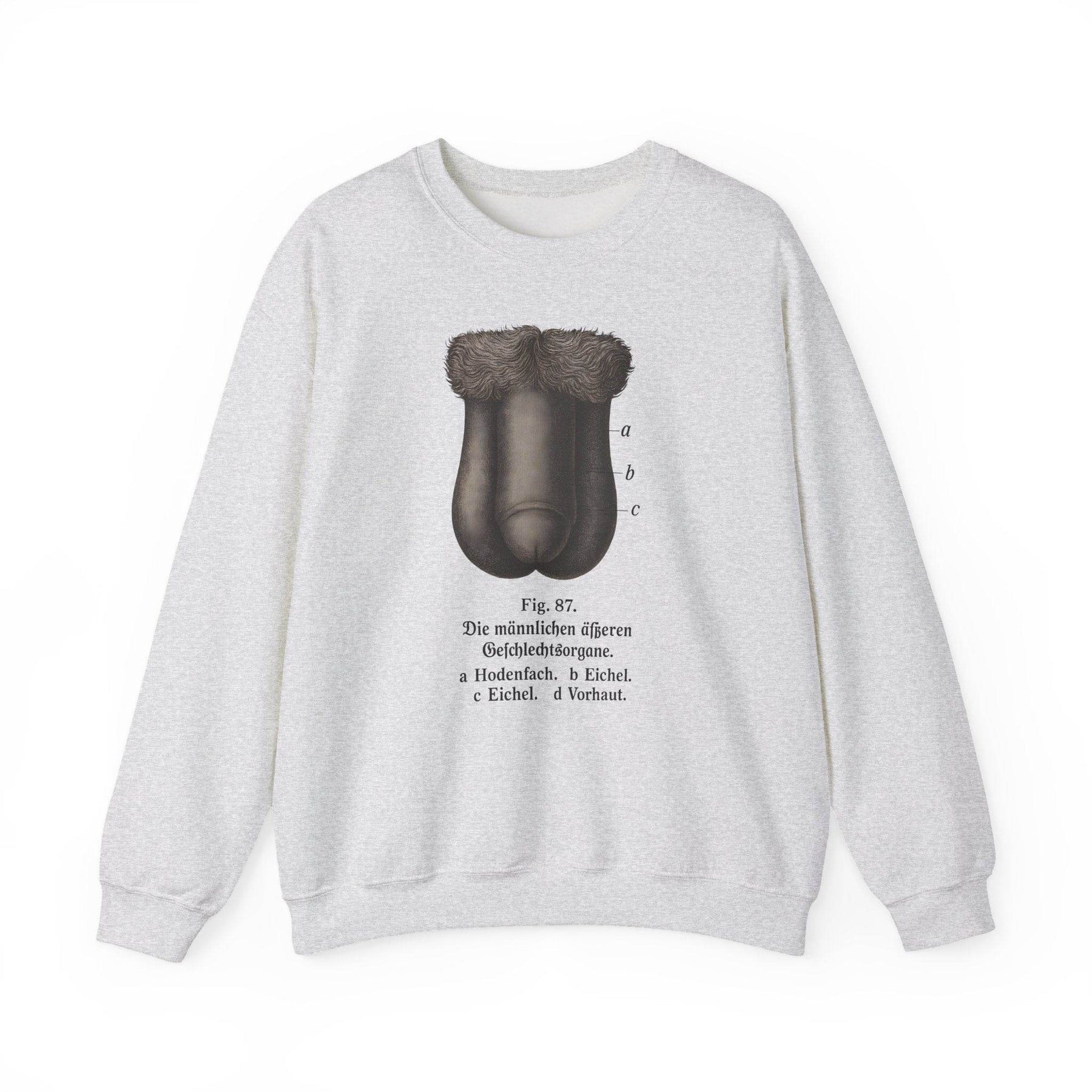Anatomie Sweatshirt – Fig. 87: Die männlichen äußeren Geschlechtsorgane | Bildungswitz & Stil - True Insights