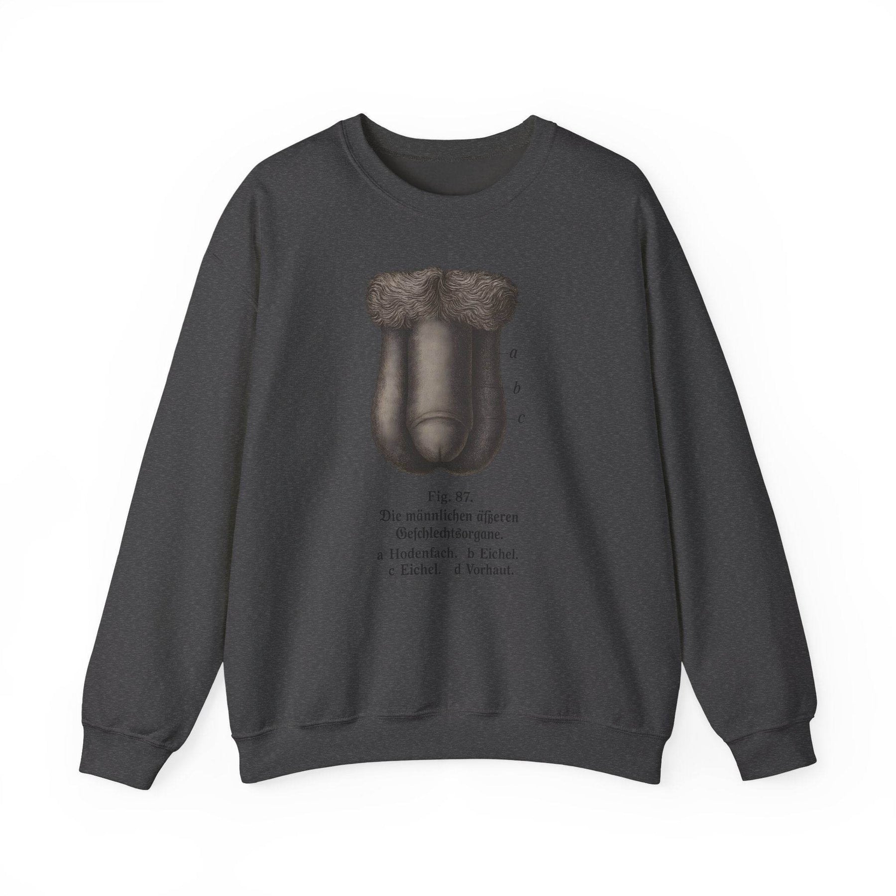 Anatomie Sweatshirt – Fig. 87: Die männlichen äußeren Geschlechtsorgane | Bildungswitz & Stil - True Insights