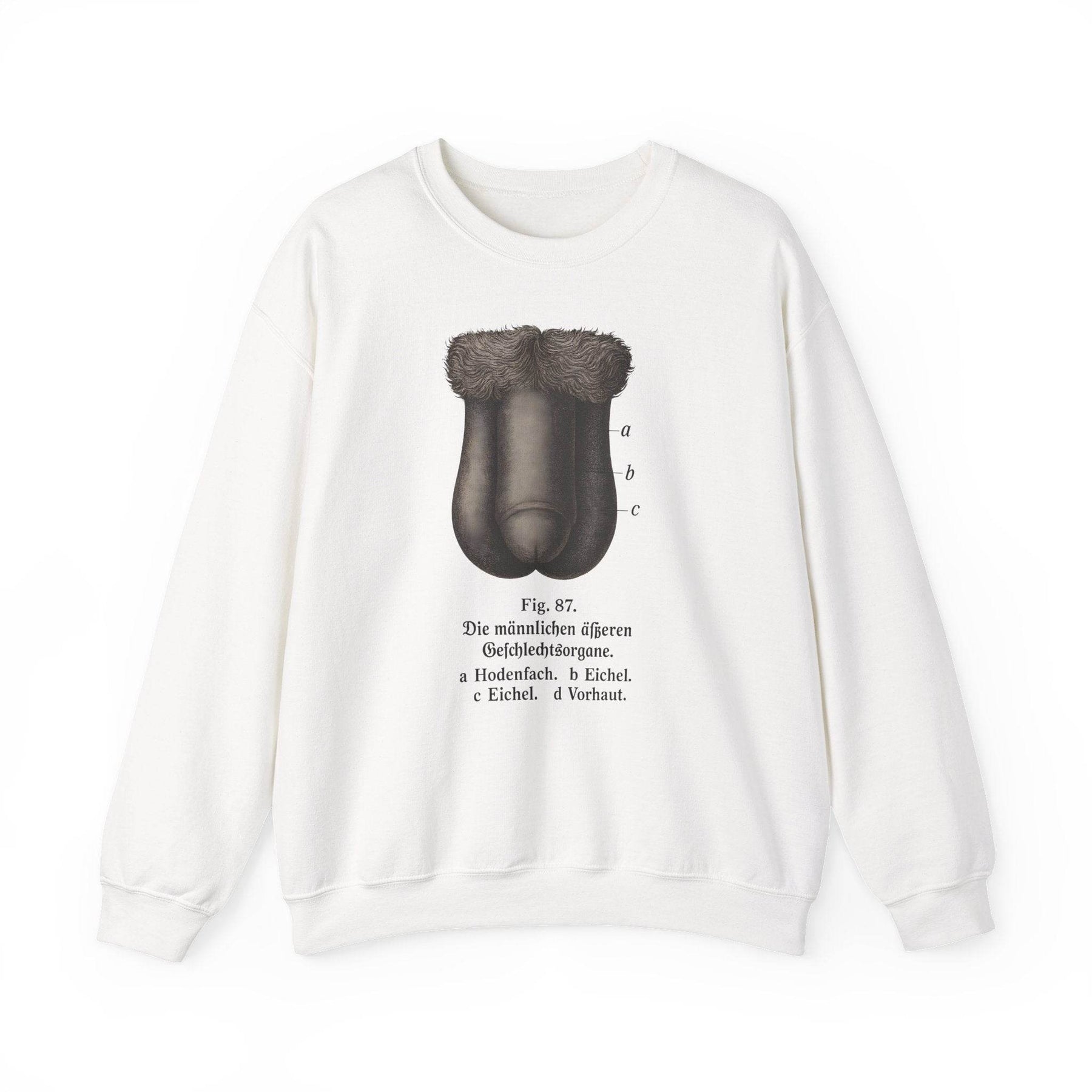 Anatomie Sweatshirt – Fig. 87: Die männlichen äußeren Geschlechtsorgane | Bildungswitz & Stil - True Insights