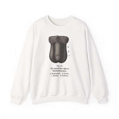 Anatomie Sweatshirt – Fig. 87: Die männlichen äußeren Geschlechtsorgane | Bildungswitz & Stil - True Insights