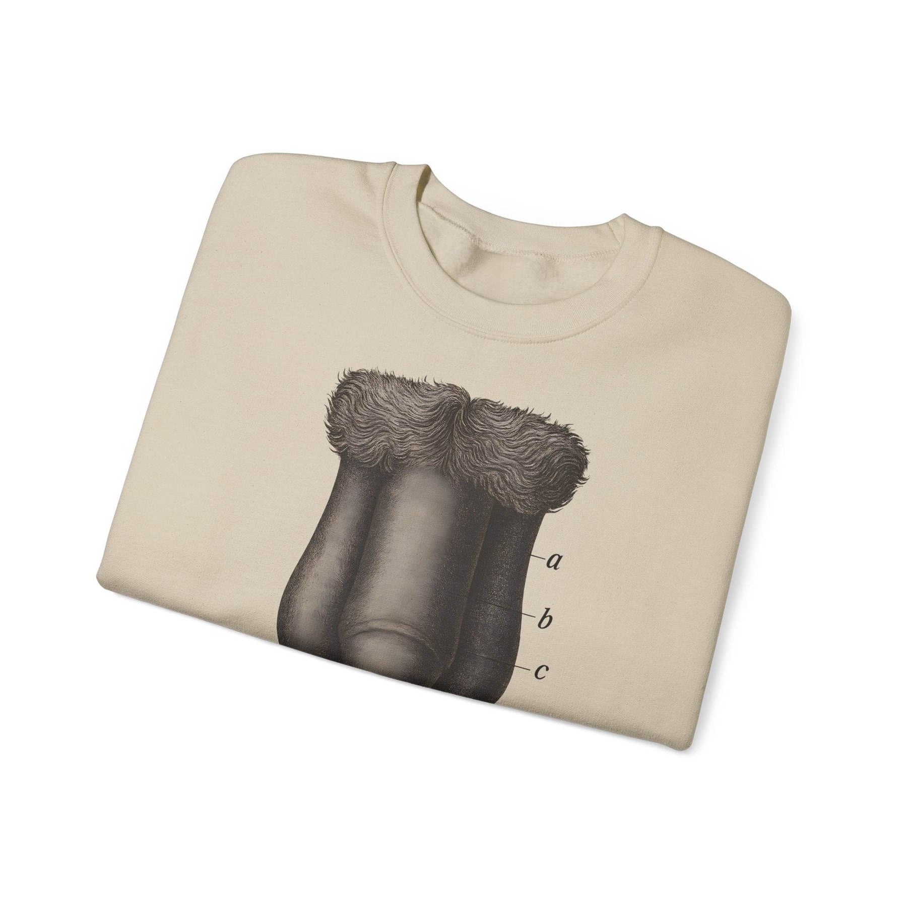 Anatomie Sweatshirt – Fig. 87: Die männlichen äußeren Geschlechtsorgane | Bildungswitz & Stil - True Insights