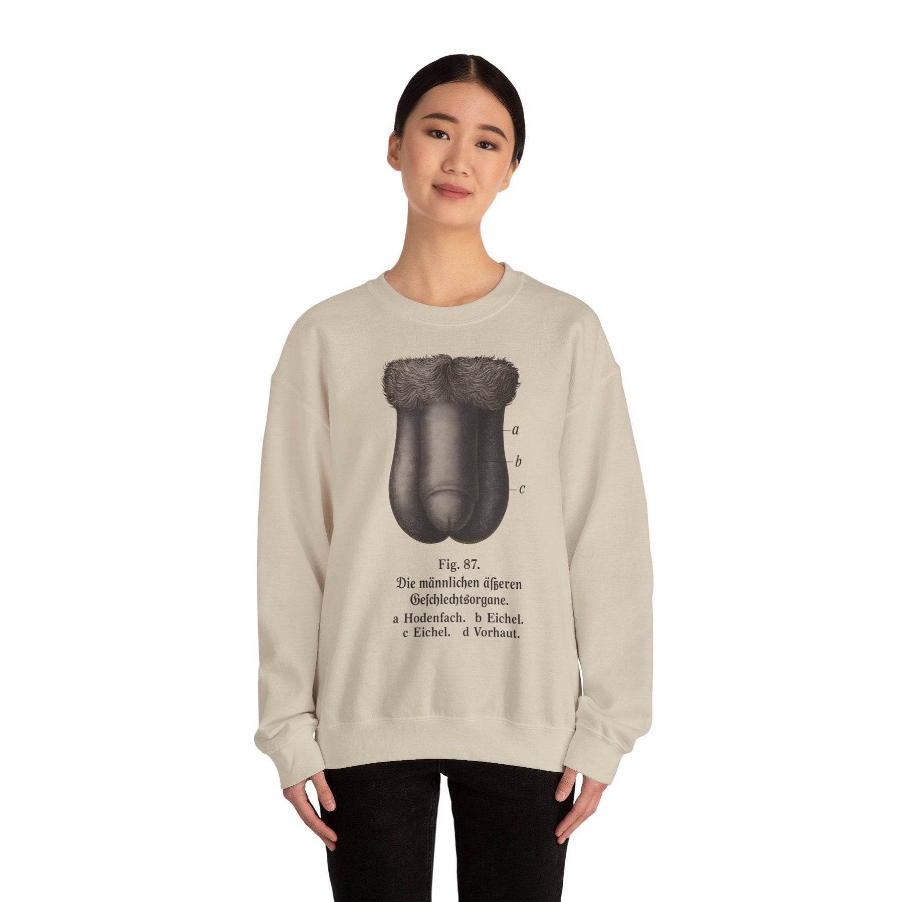 Anatomie Sweatshirt – Fig. 87: Die männlichen äußeren Geschlechtsorgane | Bildungswitz & Stil - True Insights