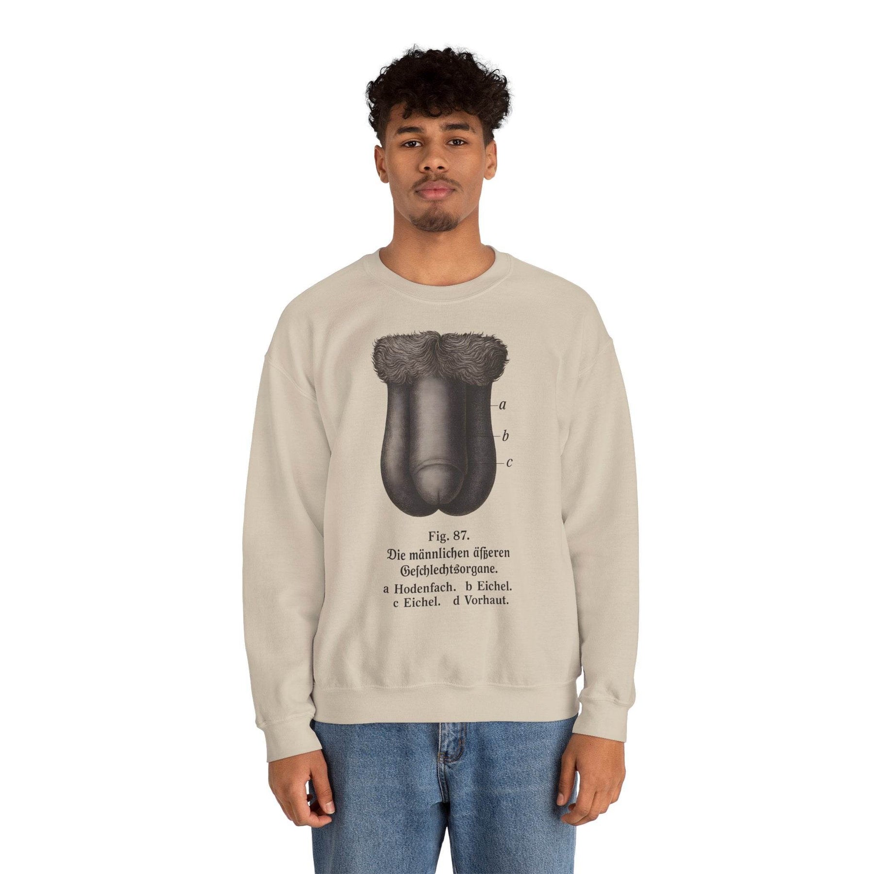 Anatomie Sweatshirt – Fig. 87: Die männlichen äußeren Geschlechtsorgane | Bildungswitz & Stil - True Insights