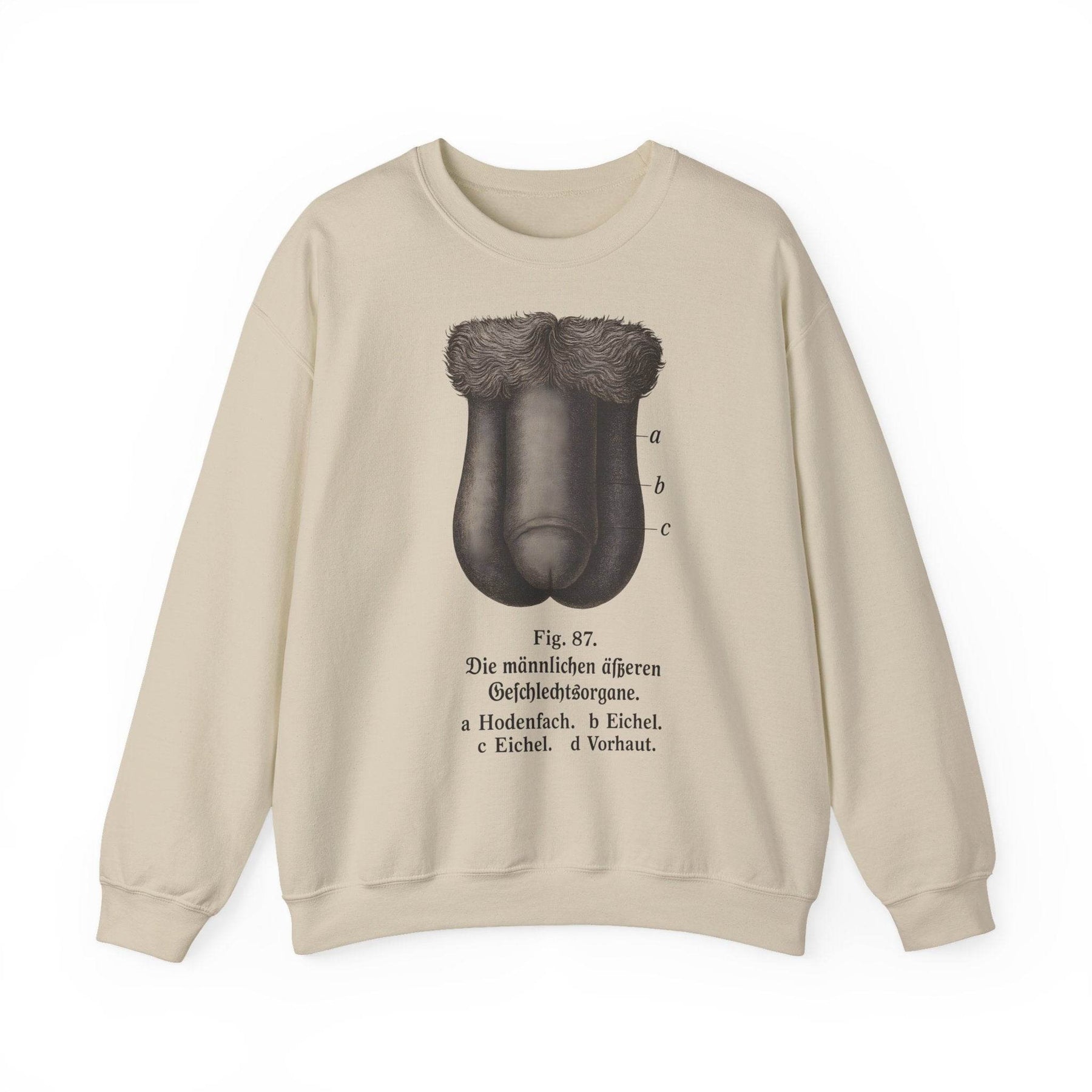 Anatomie Sweatshirt – Fig. 87: Die männlichen äußeren Geschlechtsorgane | Bildungswitz & Stil - True Insights