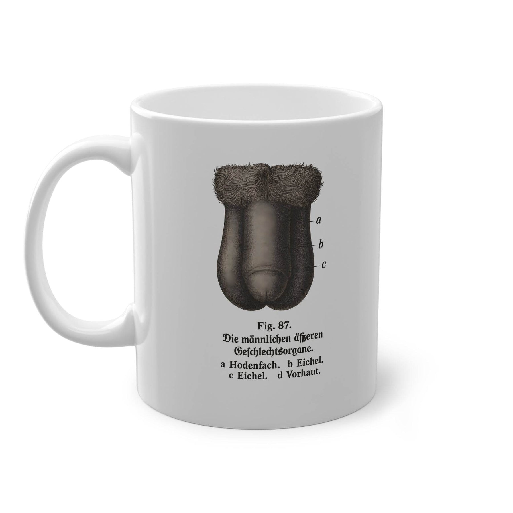 Vintage Motiv – Anatomie Tasse – Fig. 87: Die männlichen Geschlechtsorgane | Ironischer Wachmacher | True Insights Design mit Humor