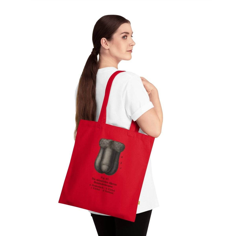 Vintage Motiv – Anatomie Tote Bag – Fig. 87: Die männlichen Geschlechtsorgane | Aufklärung to go | True Insights Design mit Humor