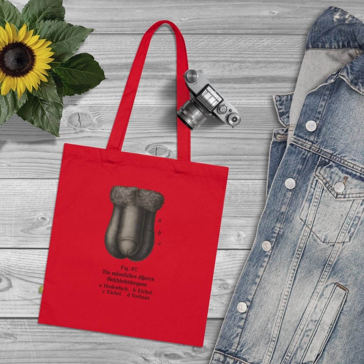 Vintage Motiv – Anatomie Tote Bag – Fig. 87: Die männlichen Geschlechtsorgane | Aufklärung to go | True Insights Design mit Humor