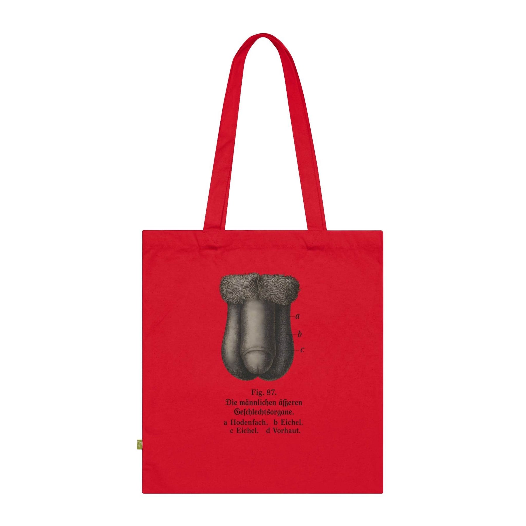 Vintage Motiv – Anatomie Tote Bag – Fig. 87: Die männlichen Geschlechtsorgane | Aufklärung to go | True Insights Design mit Humor