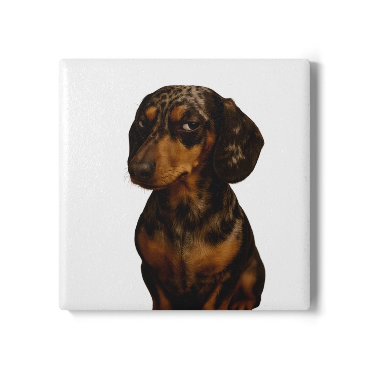 Dackelblick – Keramik-Untersetzer – Lustiges Home Decor | True Insights – Bild 1