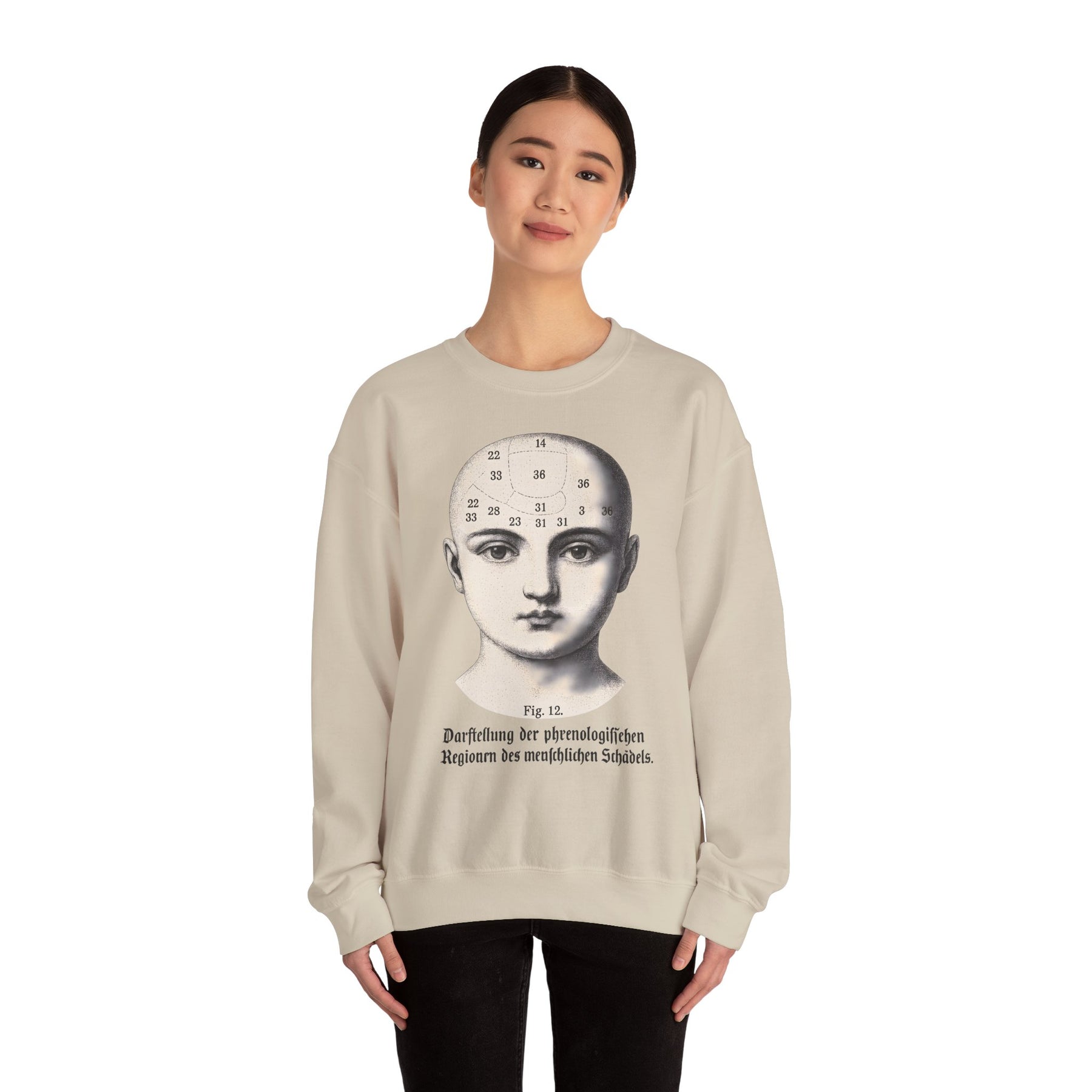 Vintage Motiv – Phrenologie Sweatshirt – Vintage-Schädelstudie „Fig. 12“ | True Insights Design mit Humor