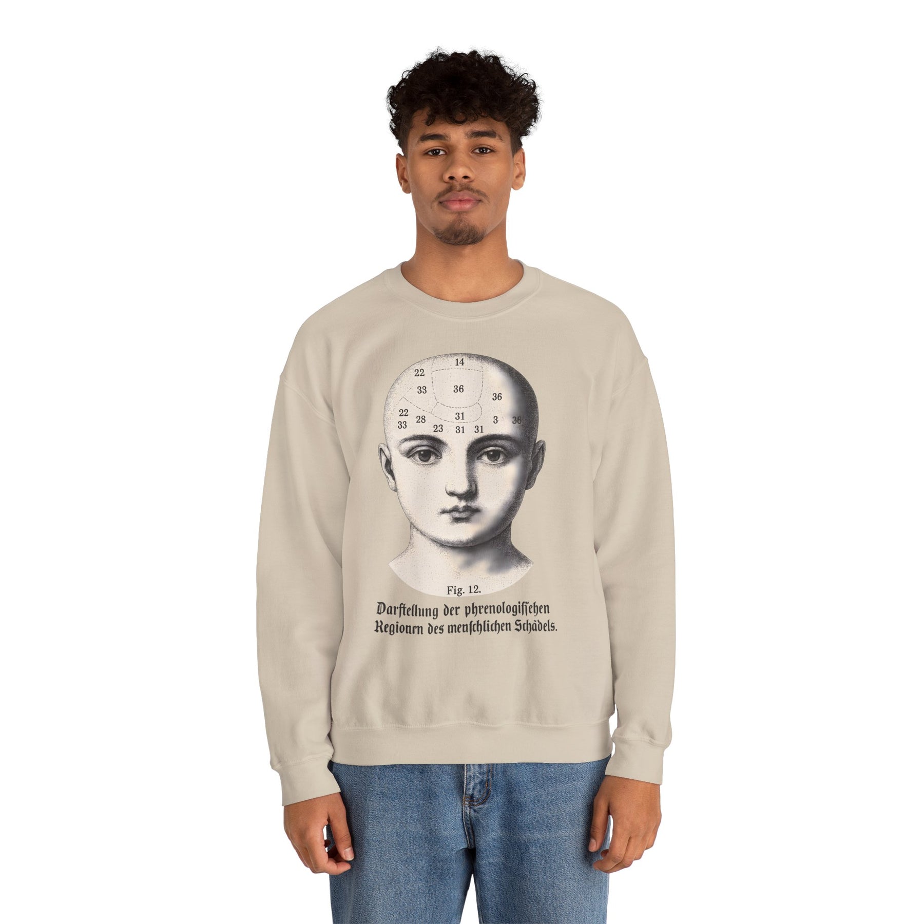 Vintage Motiv – Phrenologie Sweatshirt – Vintage-Schädelstudie „Fig. 12“ | True Insights Design mit Humor