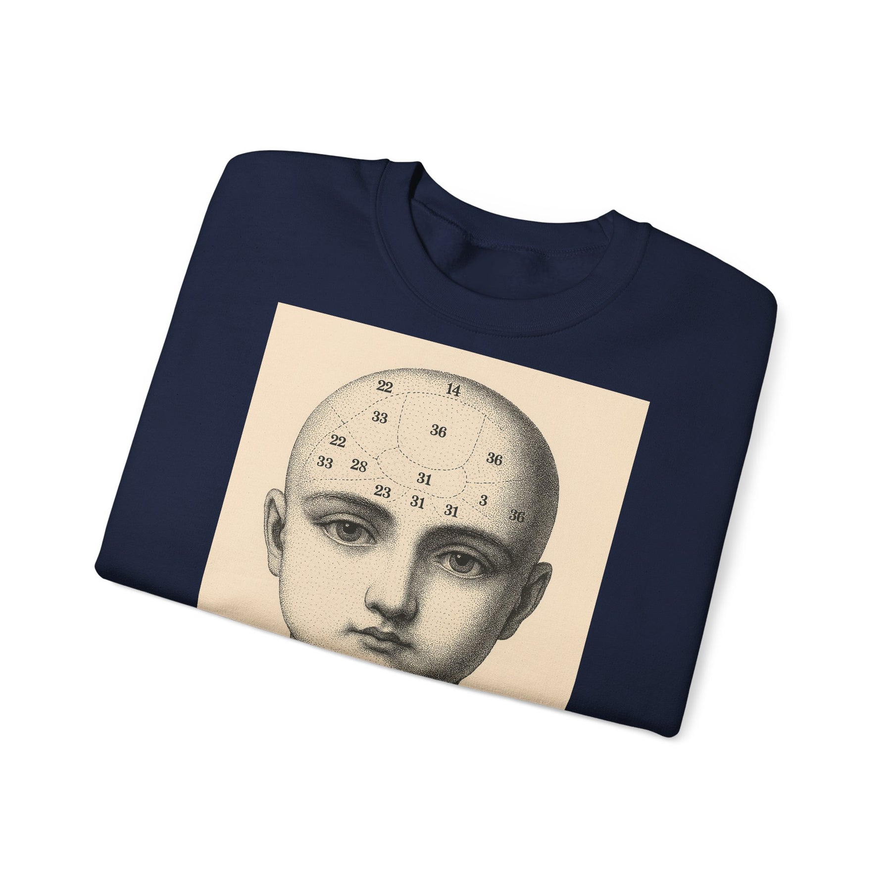 Vintage Motiv – Phrenologie Sweatshirt – Vintage-Schädelstudie „Fig. 12“ | True Insights Design mit Humor