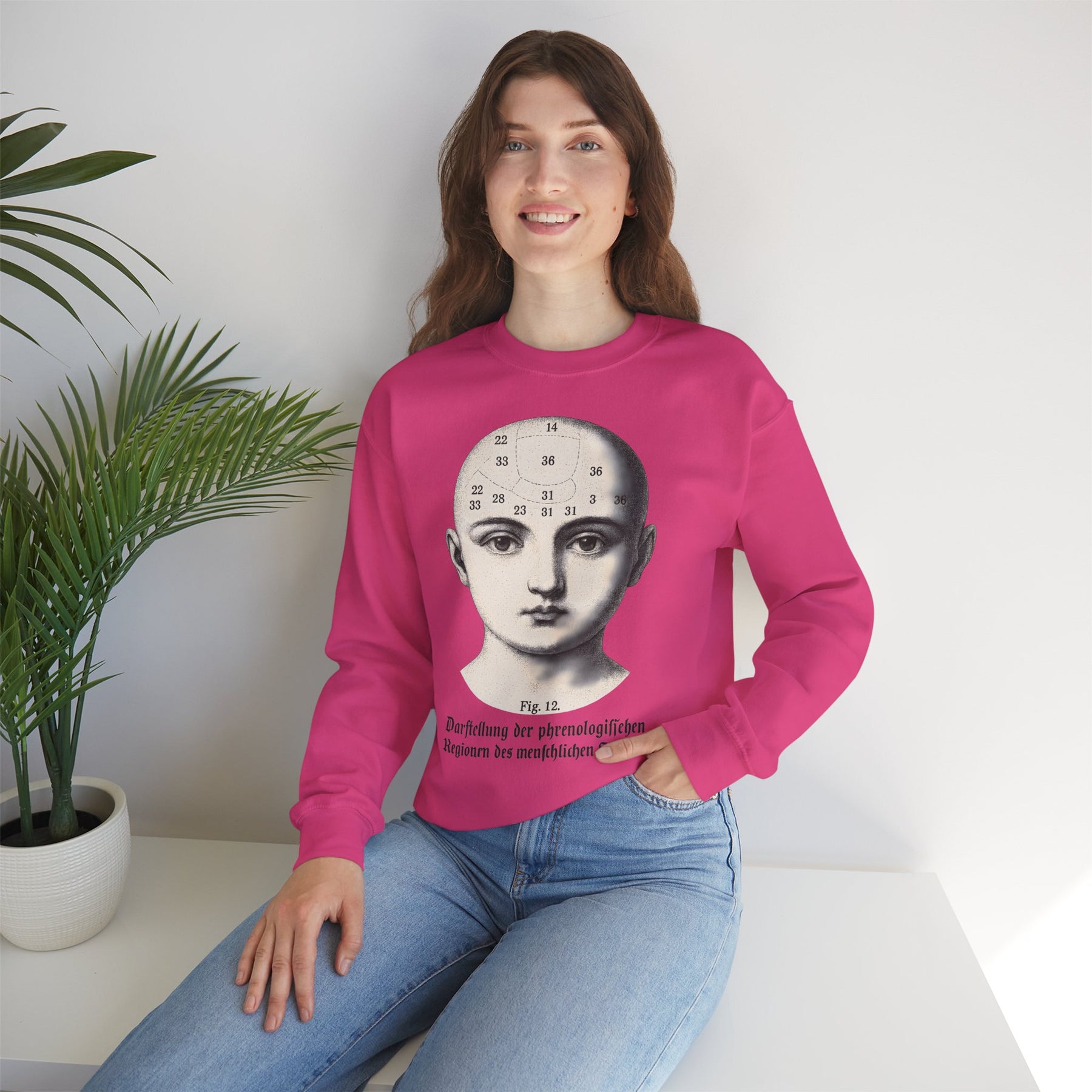 Vintage Motiv – Phrenologie Sweatshirt – Vintage-Schädelstudie „Fig. 12“ | True Insights Design mit Humor
