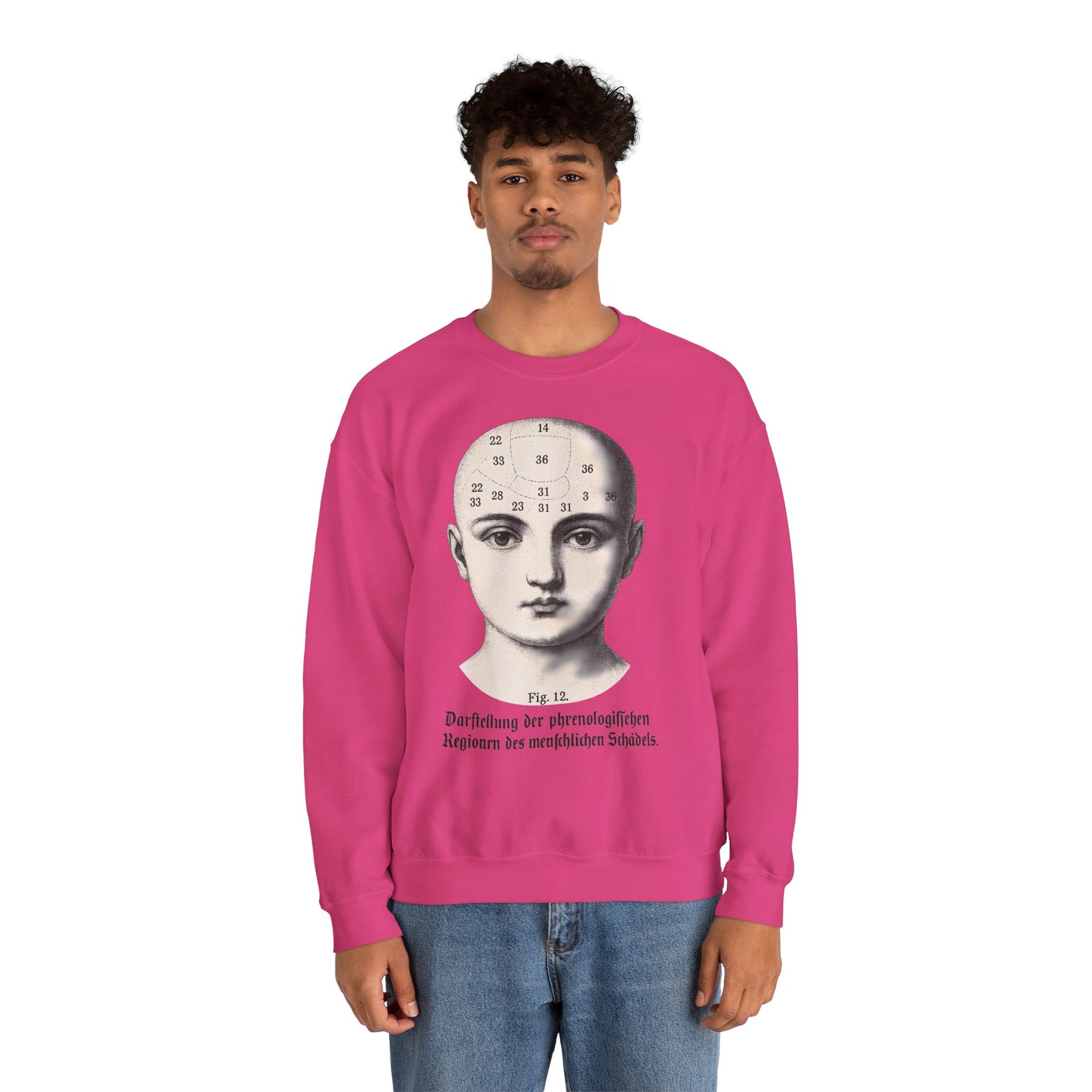 Vintage Motiv – Phrenologie Sweatshirt – Vintage-Schädelstudie „Fig. 12“ | True Insights Design mit Humor