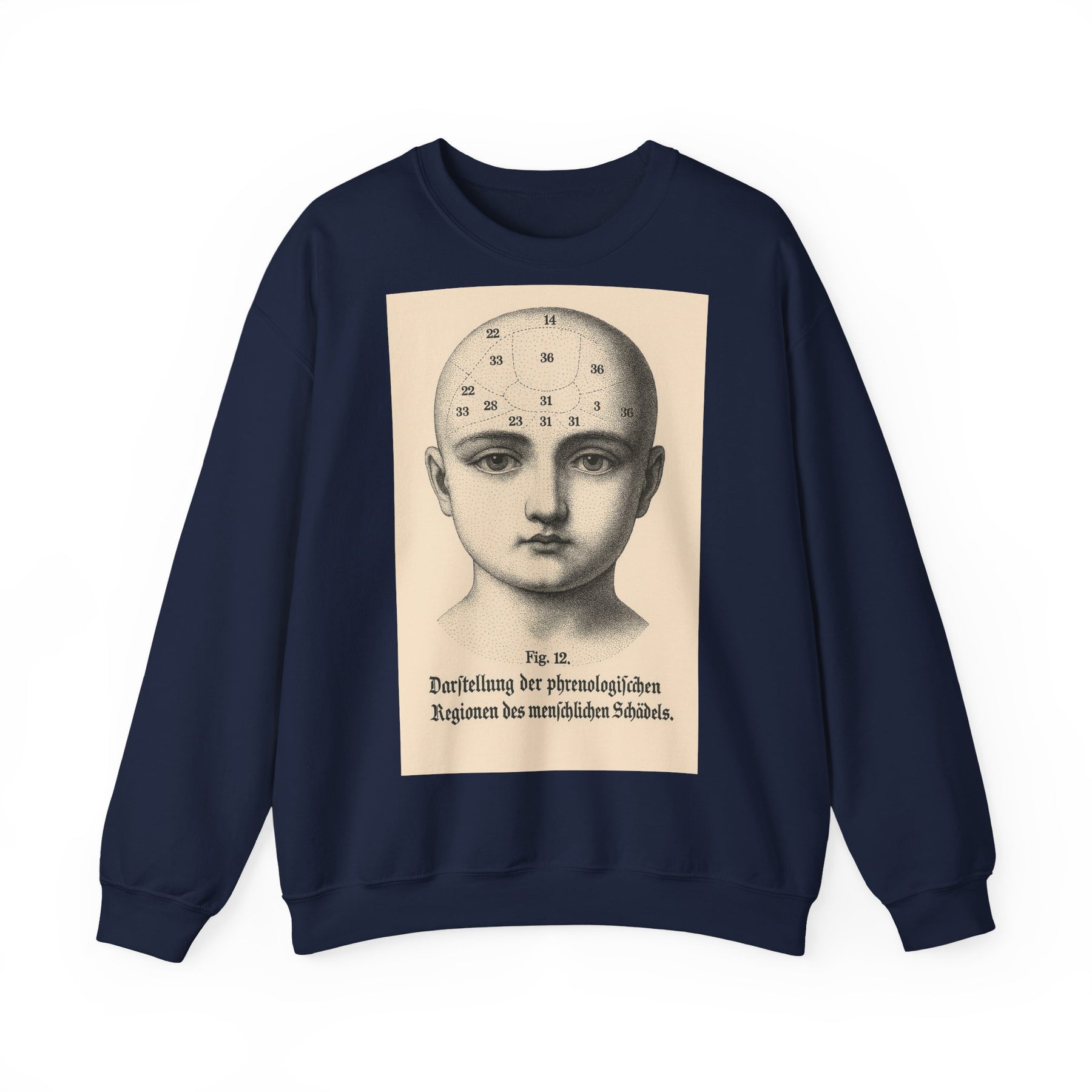 Vintage Motiv – Phrenologie Sweatshirt – Vintage-Schädelstudie „Fig. 12“ | True Insights Design mit Humor