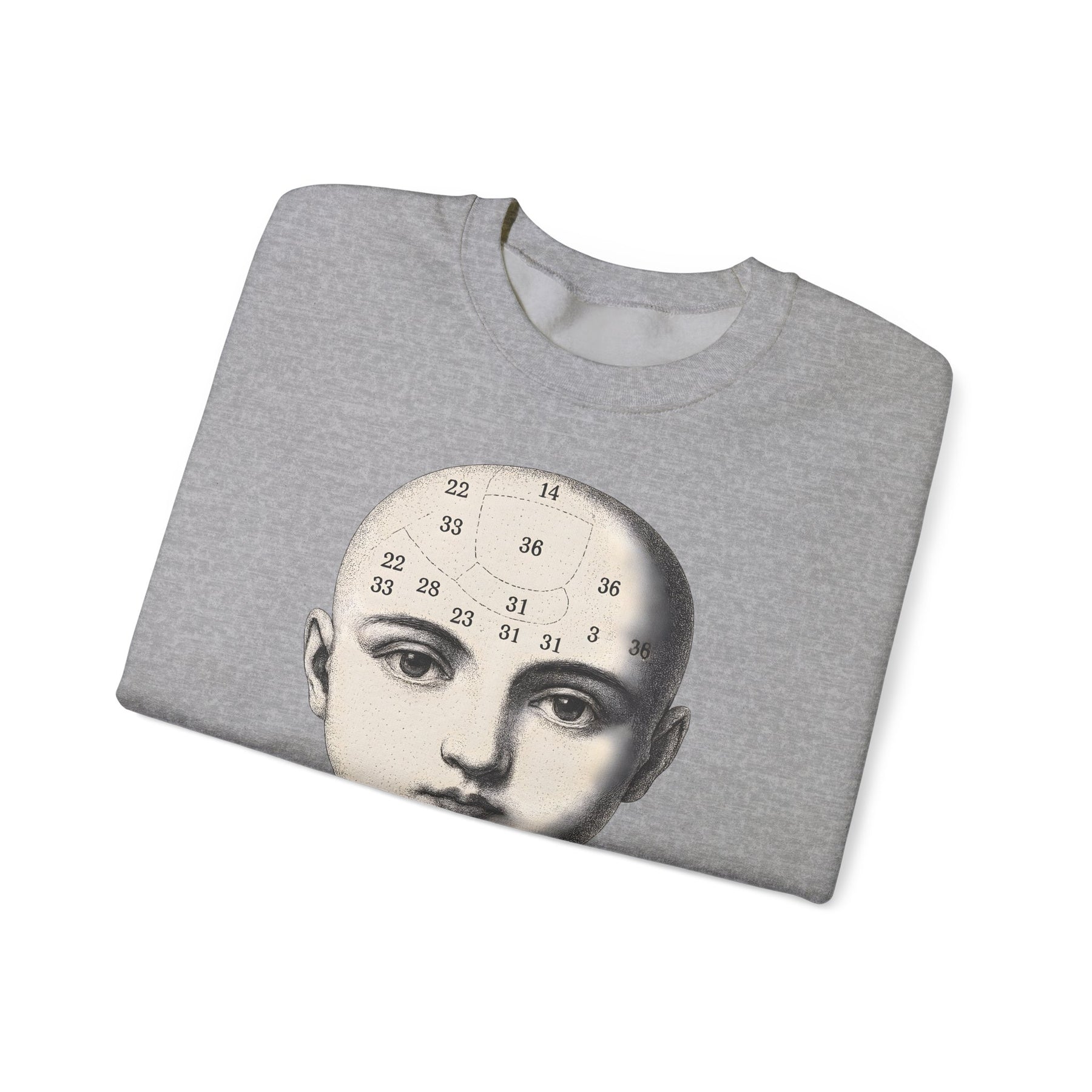 Vintage Motiv – Phrenologie Sweatshirt – Vintage-Schädelstudie „Fig. 12“ | True Insights Design mit Humor