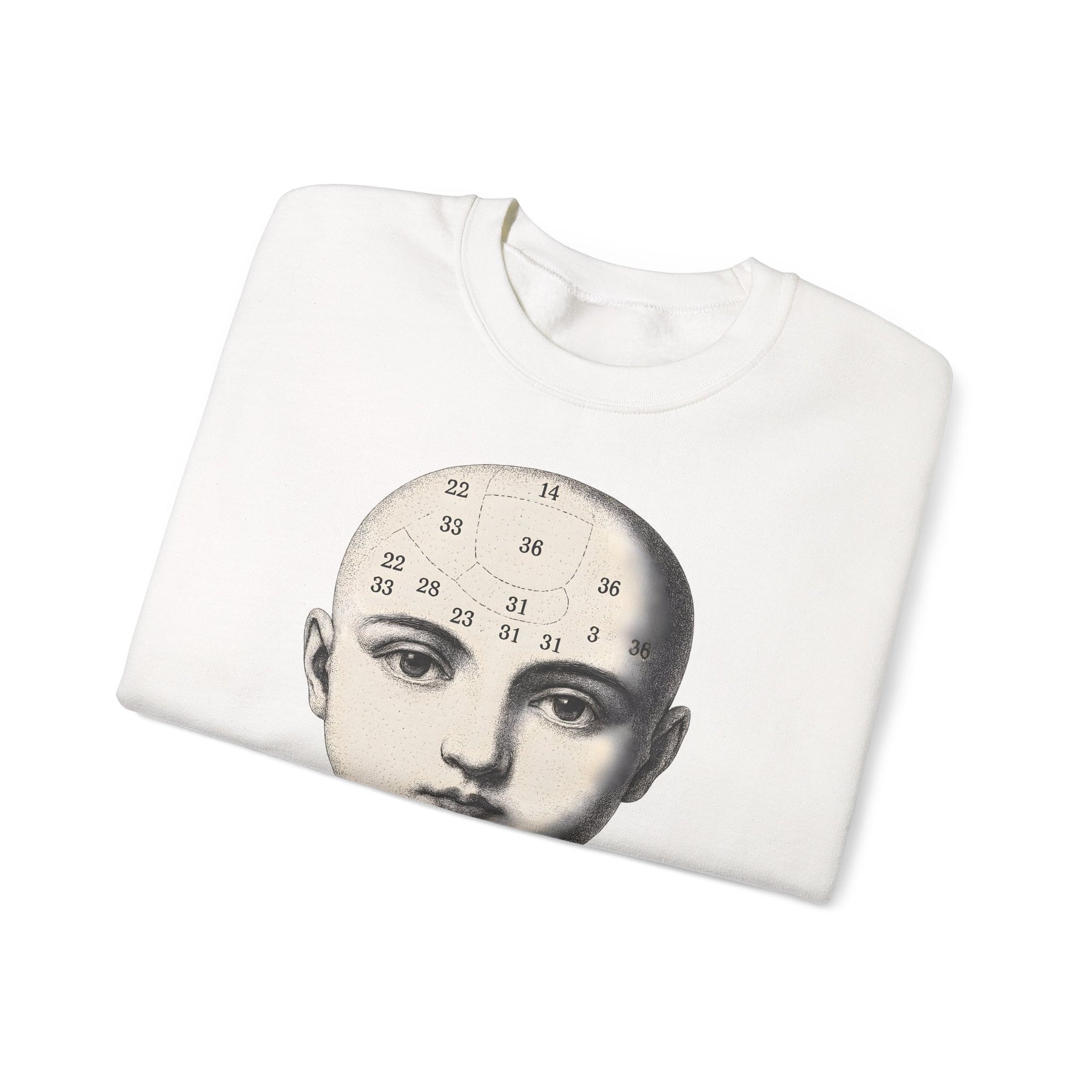 Vintage Motiv – Phrenologie Sweatshirt – Vintage-Schädelstudie „Fig. 12“ | True Insights Design mit Humor