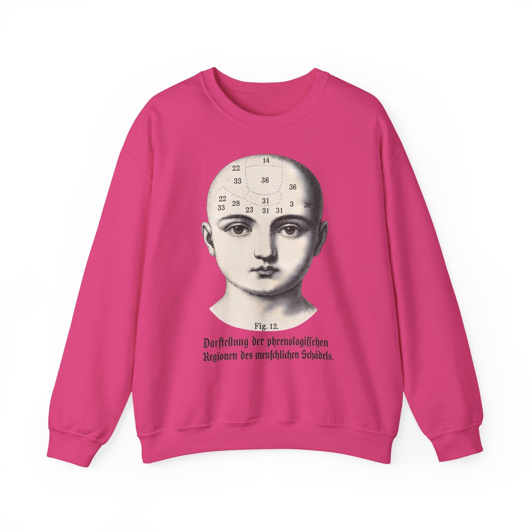 Vintage Motiv – Phrenologie Sweatshirt – Vintage-Schädelstudie „Fig. 12“ | True Insights Design mit Humor